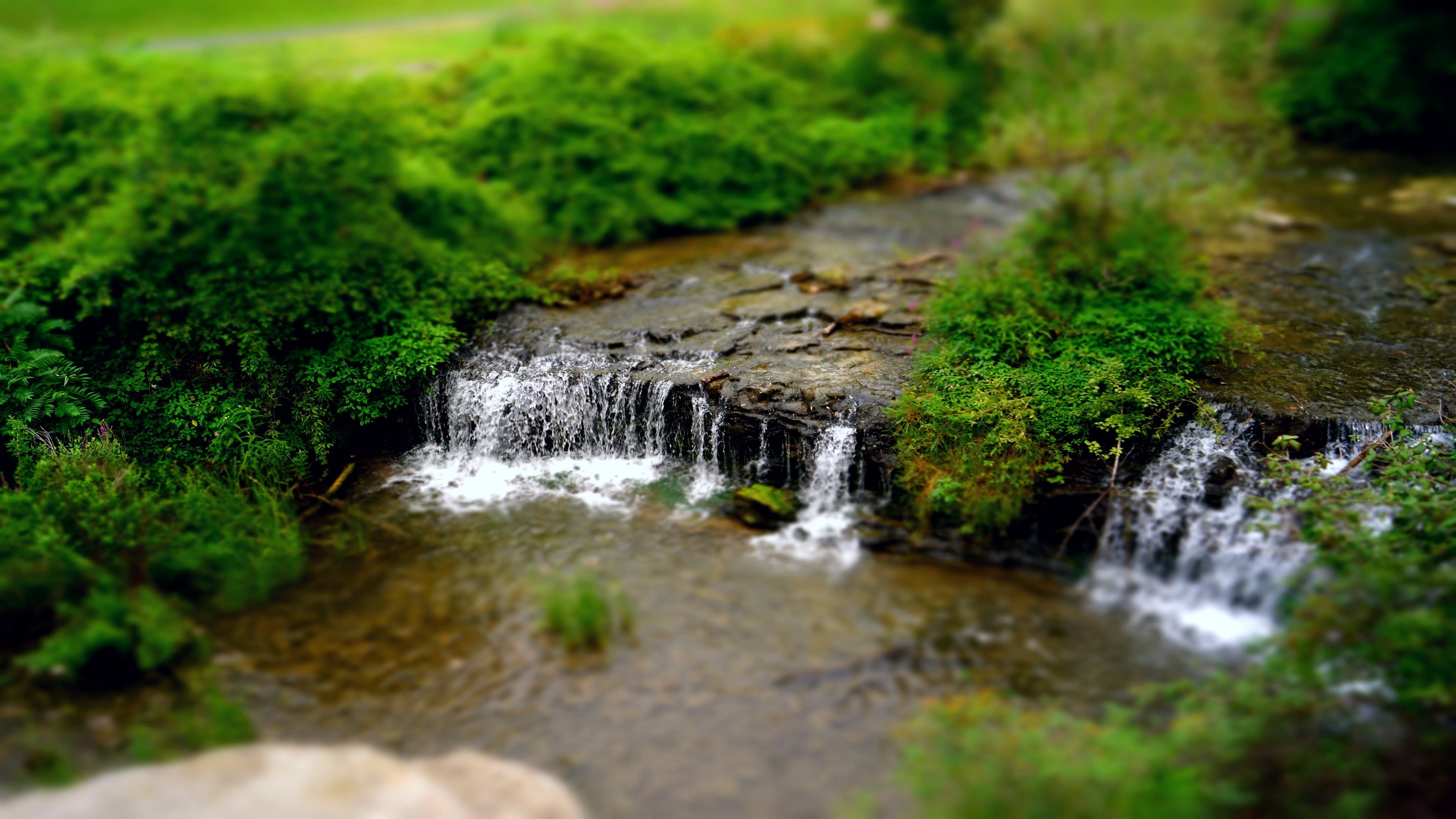no People, tilt shift, day, beauty In Nature, landscape, waterfalls, scenics - nature, environment, grass, waterfall, selective focus, moss, scenics, plant, HD Wallpaper