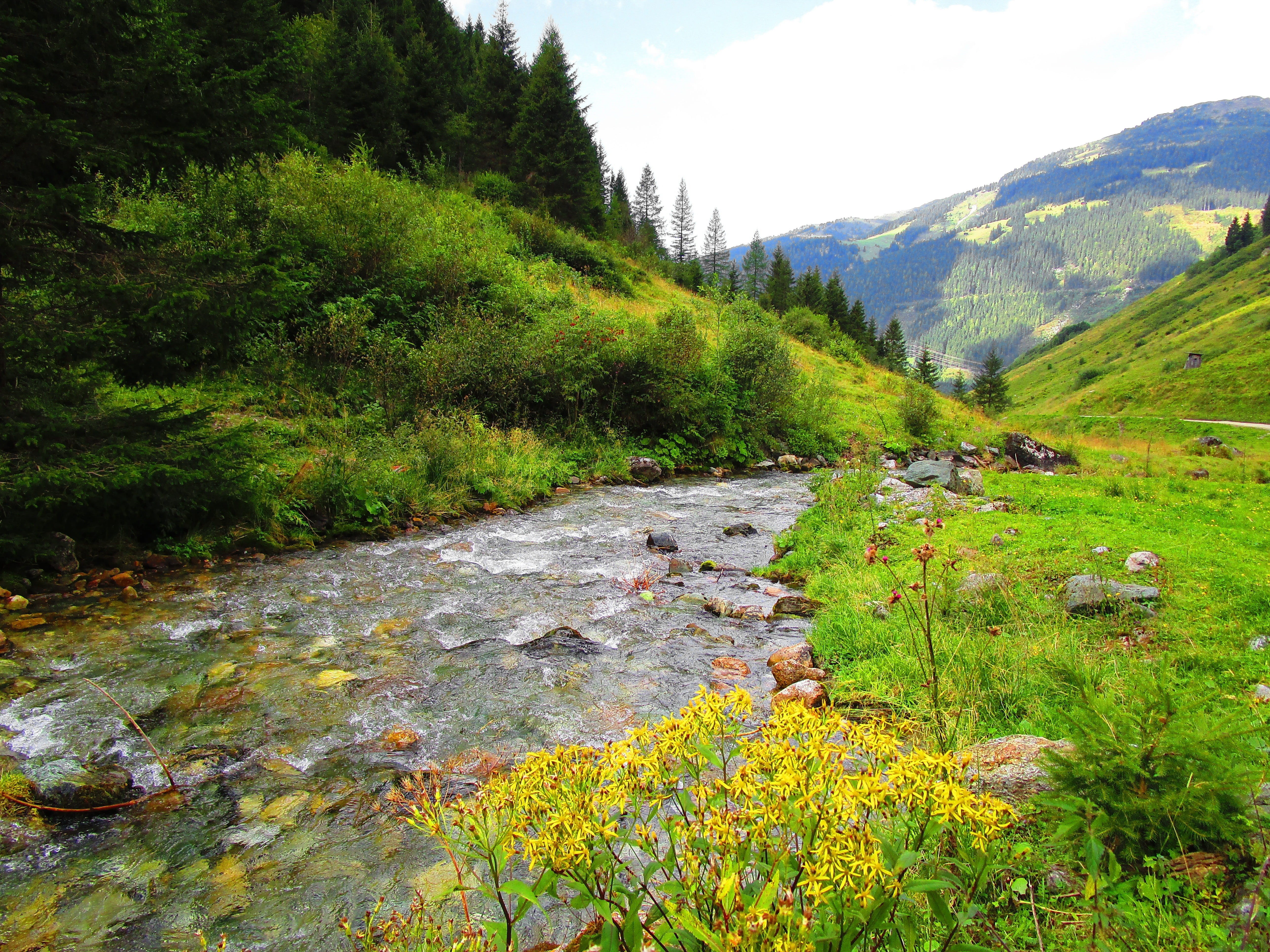 landscape, waters, tranquility, lake, Austria, alpine, idyllic, mountain stream, Meadow, korblütler, mountain, tranquil Scene, tree, land, mountains, no People, HD Wallpaper