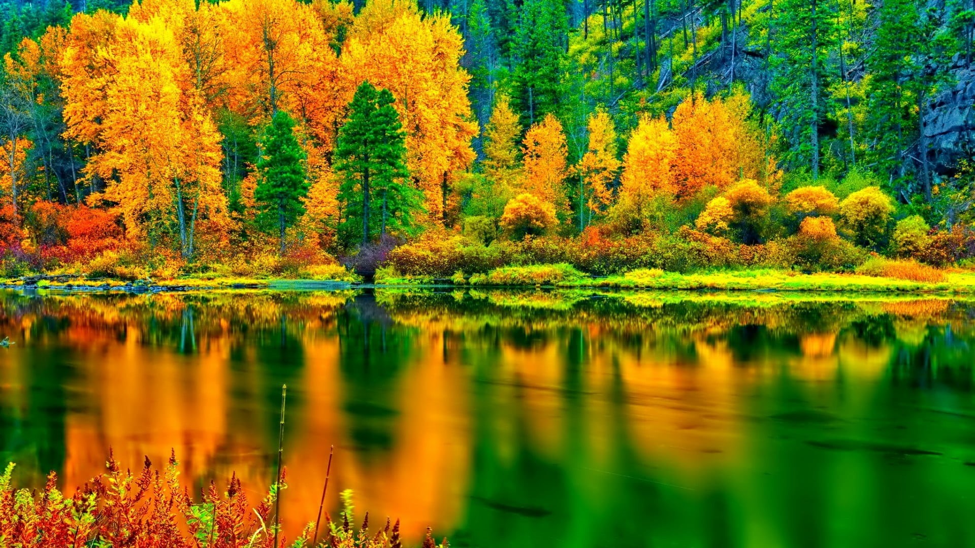 vegetation, reflection, outdoors, orange color, autumn collection, landscape, deciduous, growth, no people, fall, lake, scenics - nature, idyllic, change, HD Wallpaper