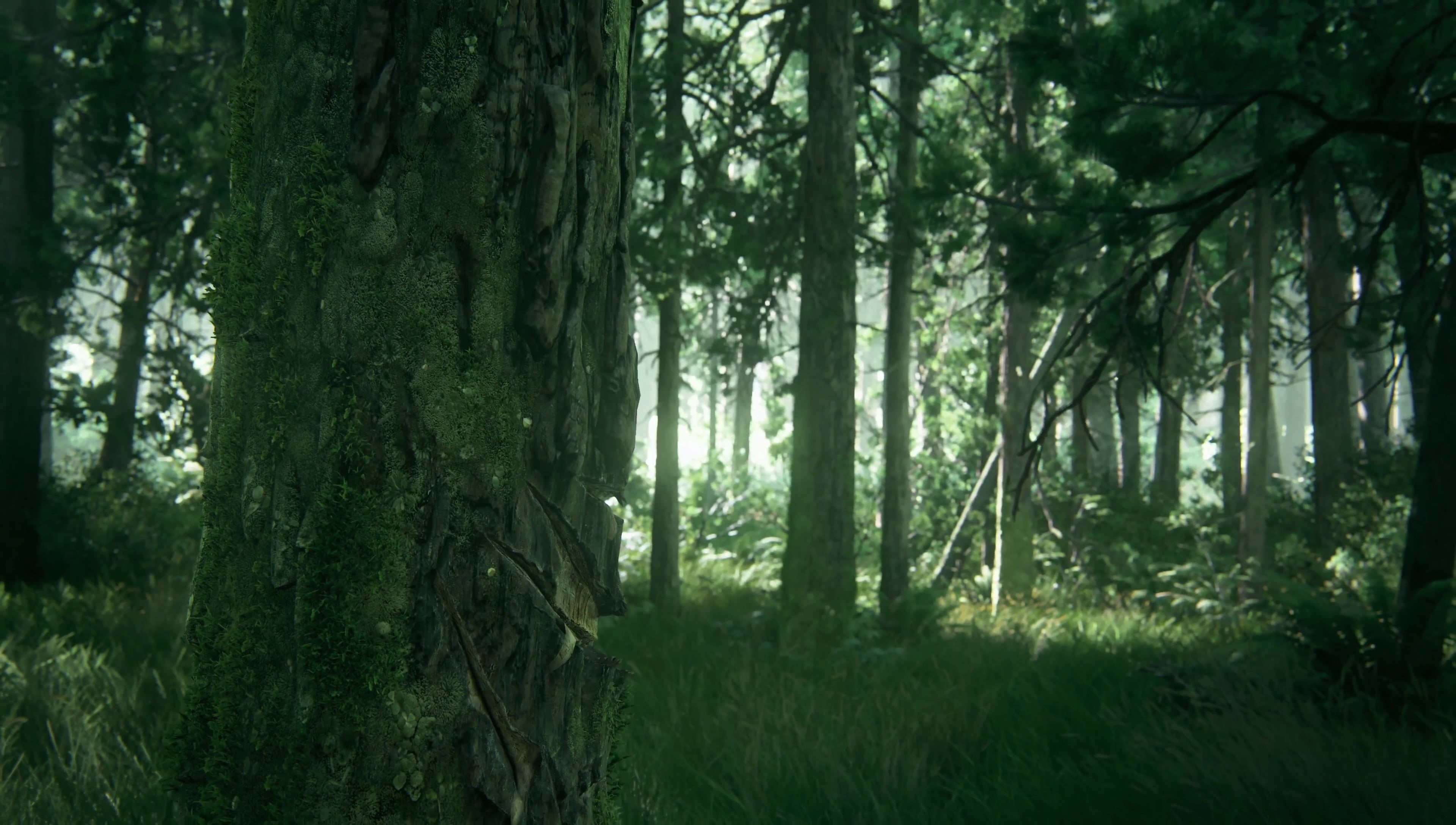 camouflage, forest, green, beauty in nature, outdoors, tranquility, tranquil scene, remote, woodland, video games, tree, nature, Part II, non-urban scene, HD Wallpaper