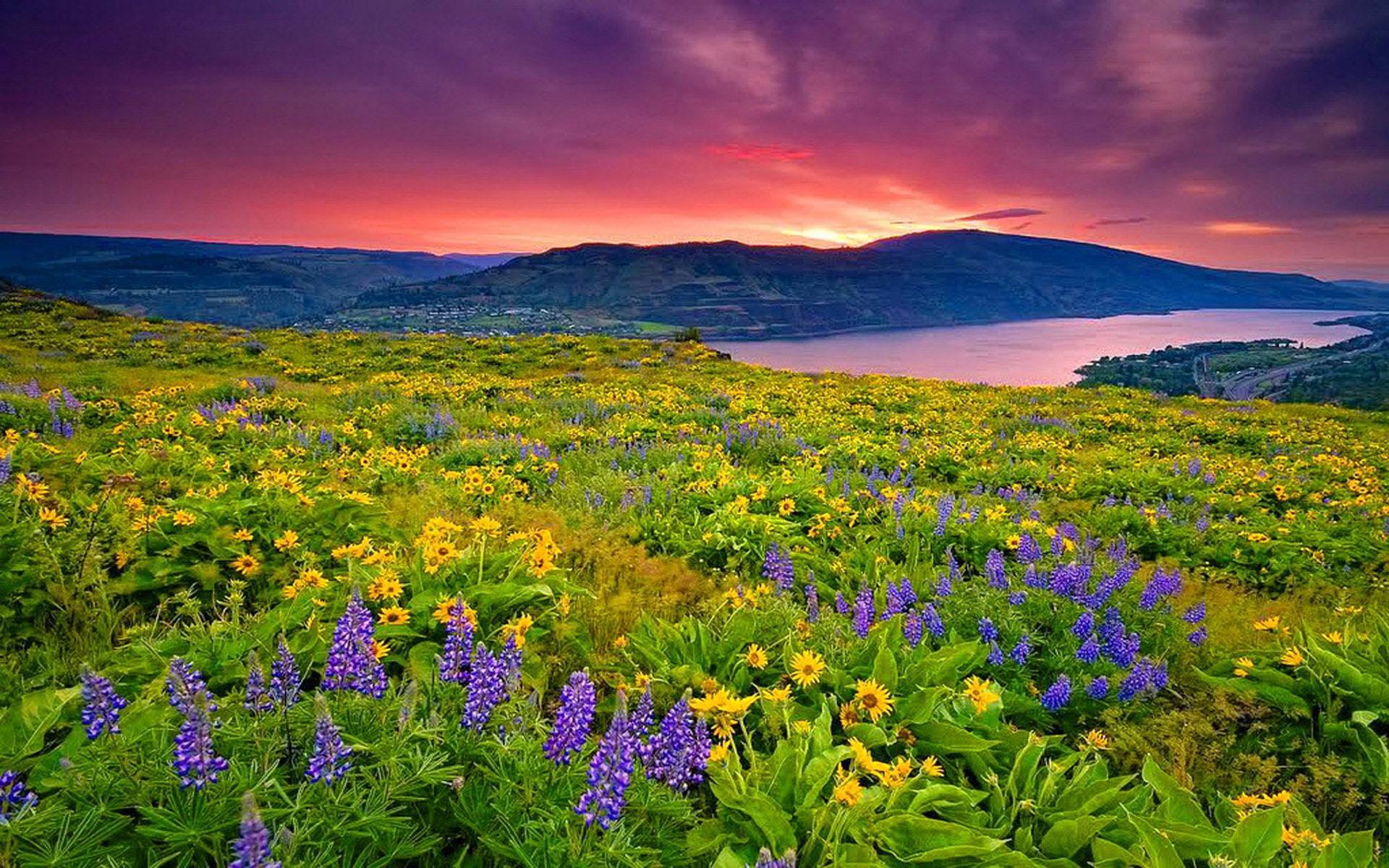 clouds, nature, high, mountain, blue, sky, landscape, flowers, meadow, lake, yellow, 1080P, red, resolution, HD Wallpaper