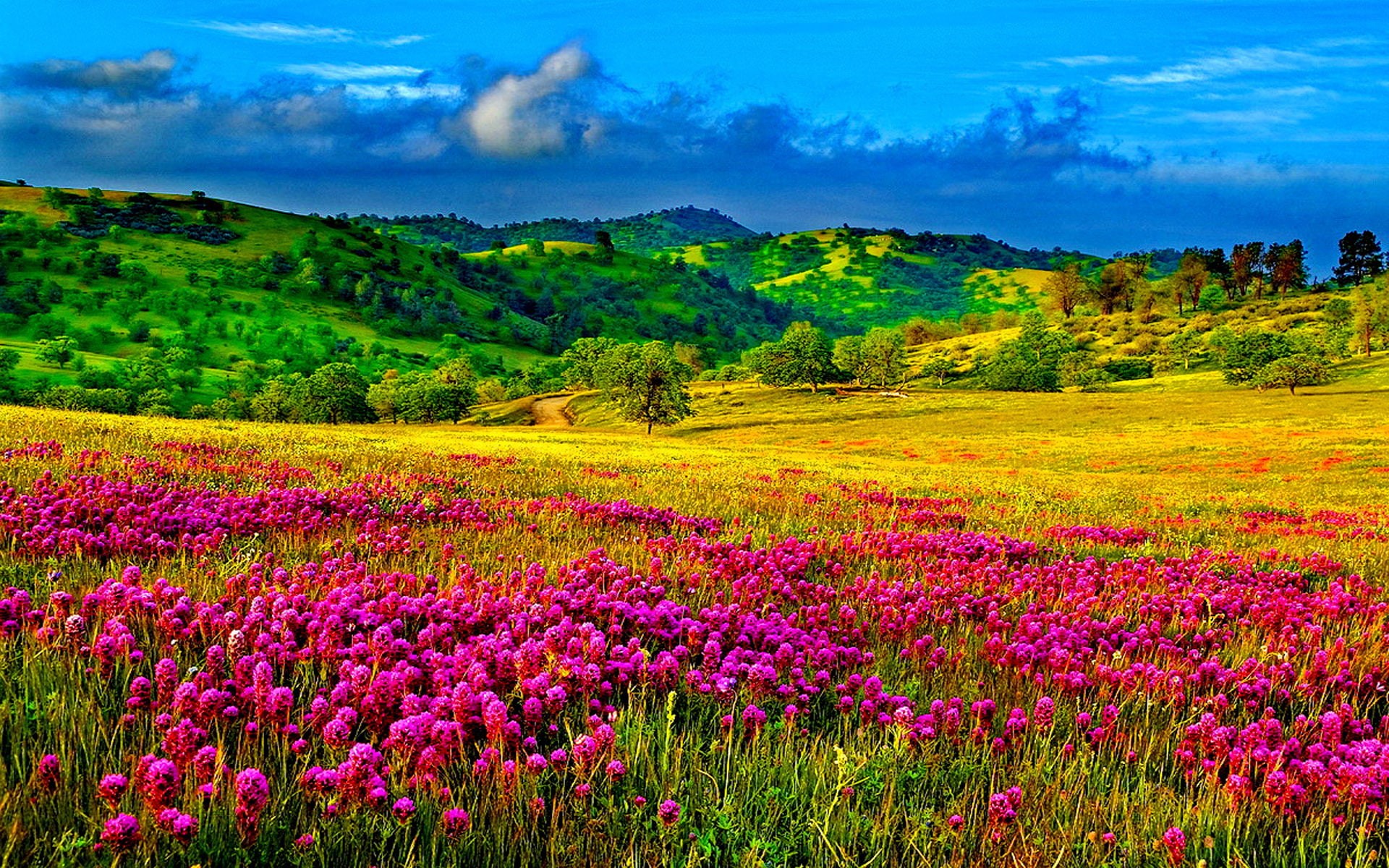 green, meadow, hd, clouds, resolution, 1080P, grass, purple, trees, flowers, desktop, hills, sky, HD Wallpaper