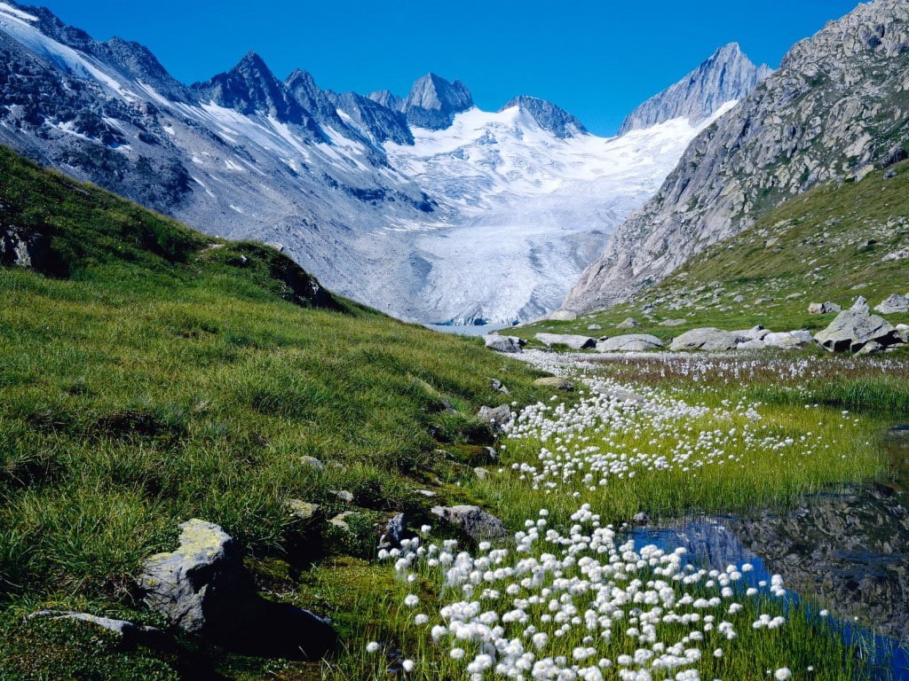 nature, switzerland, flowers, river, rocks, blue, 480P, cliff, white, landscape, photography, mountains, sky, green, HD Wallpaper