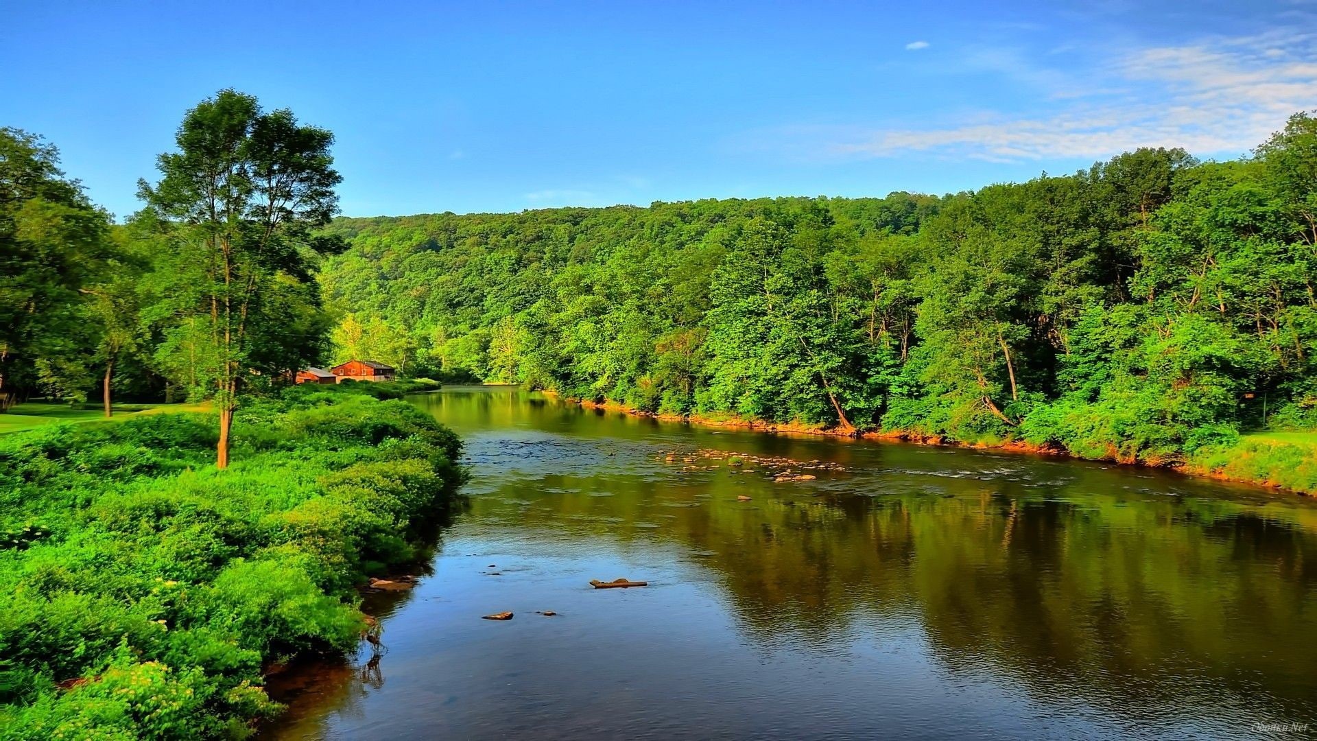 1080P, green, river, water, landscape, blue, leak, nature, sky, forest, dense, desktop, hd, trees, summer, HD Wallpaper