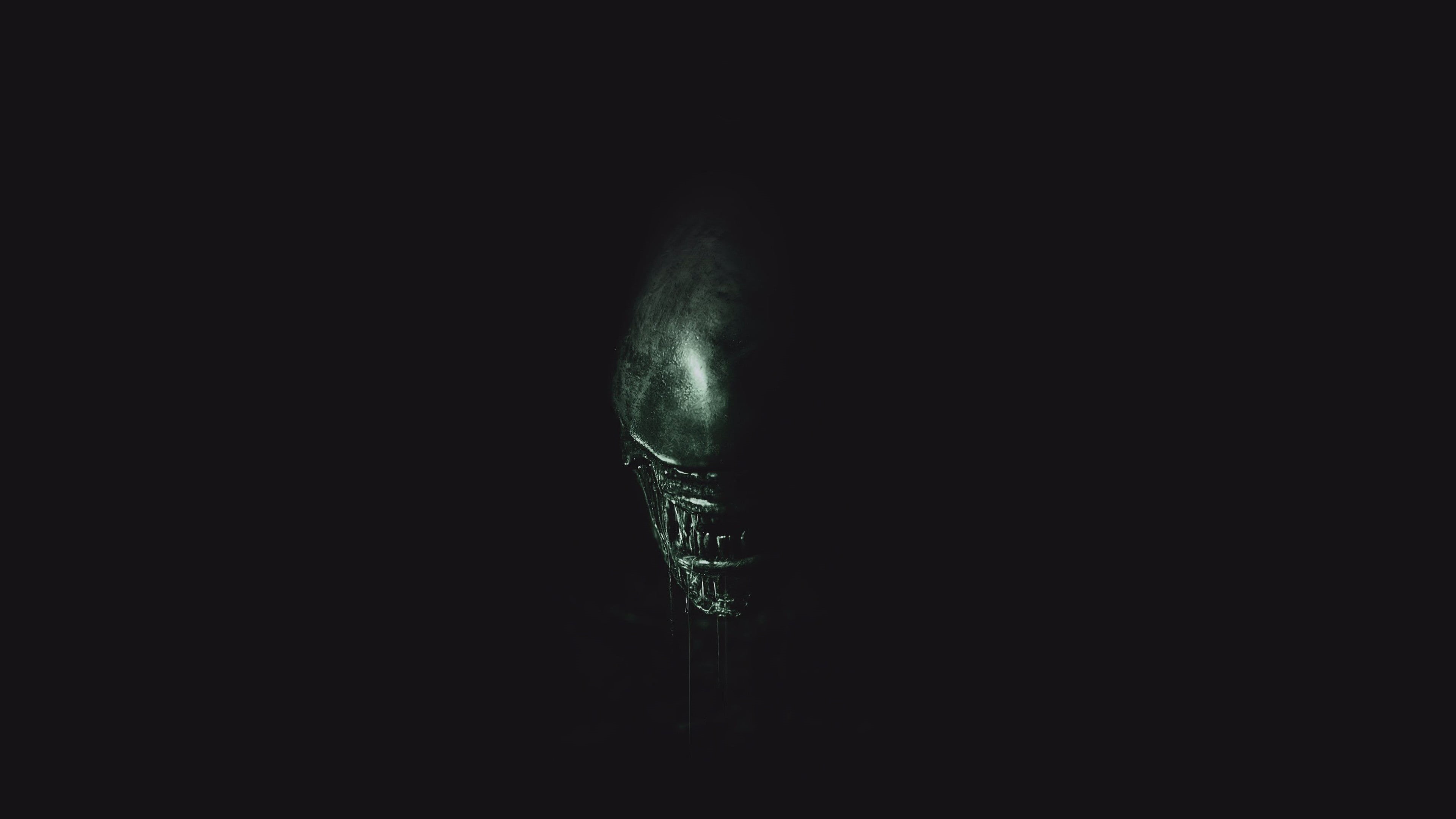 Prometheus 2, body part, slayer, 4K, hunter, Alien 6, monster, cut out, indoors, copy space, murderous beast, close-up, beast, darkness, simplicity, science fiction, HD Wallpaper