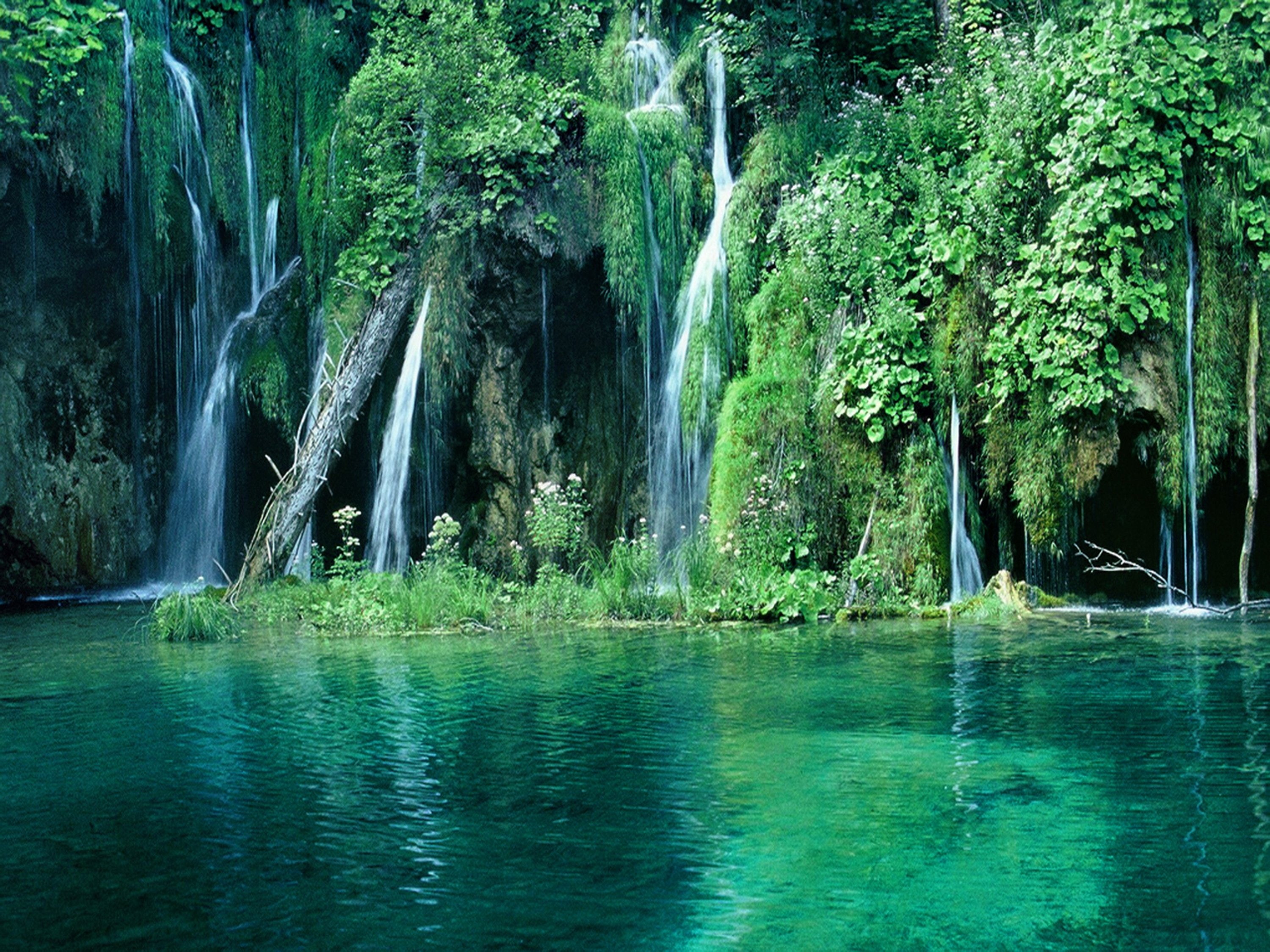vegetecion-naturaleza-paisaje-, selva-cascadas-, 2K, HD Wallpaper
