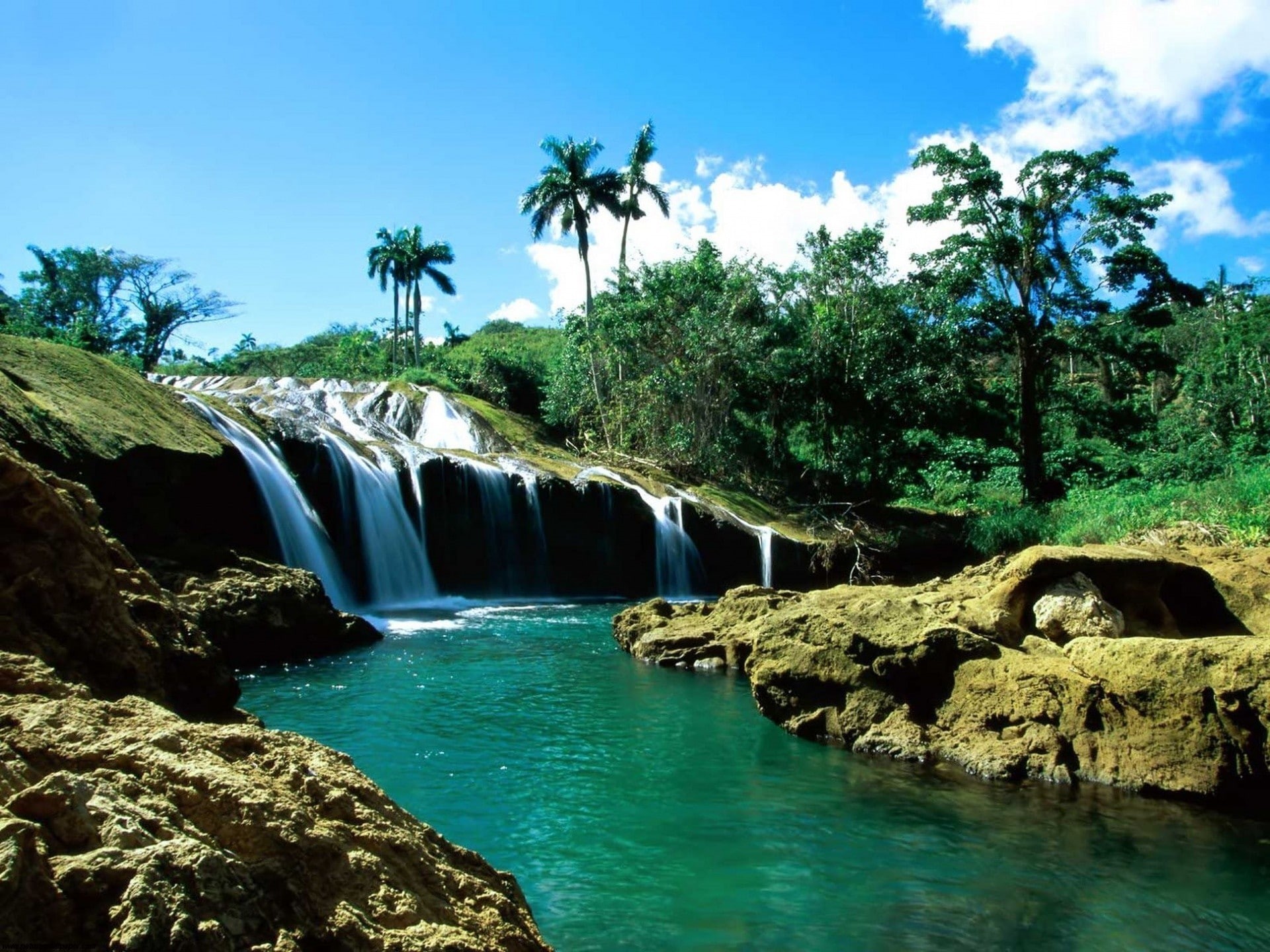 cascada, palmeras, 1080P, naturaleza, rio, HD Wallpaper