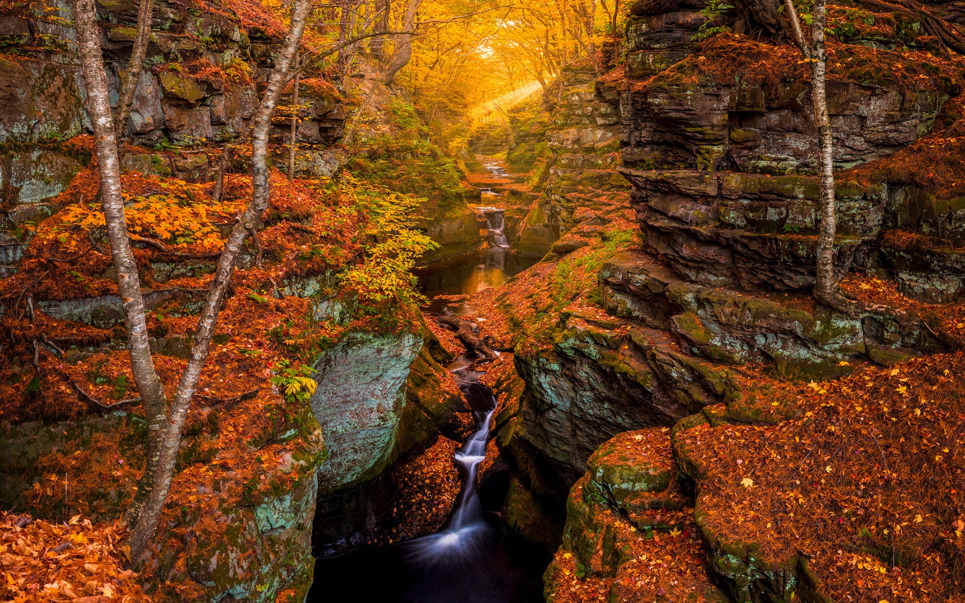 hd, rocks, 1080P, stream, timelapse, forest, sunlight, waterfall, autumn, nature, stones, trees, HD Wallpaper