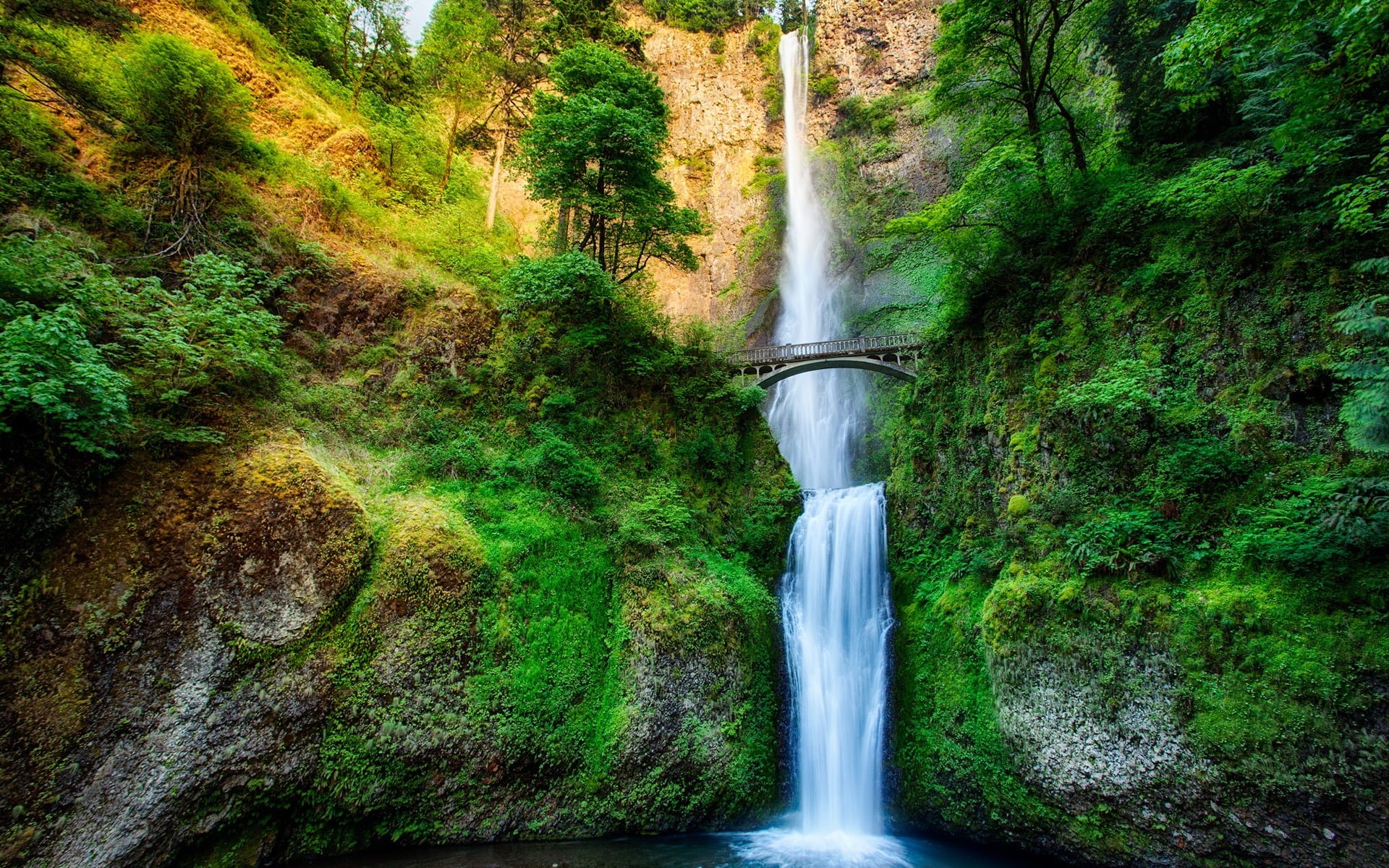 Forest, Bridge, Trees, Oregon, Stream, waterfalls, Rock, 1080P, USA, Waterfall, HD Wallpaper