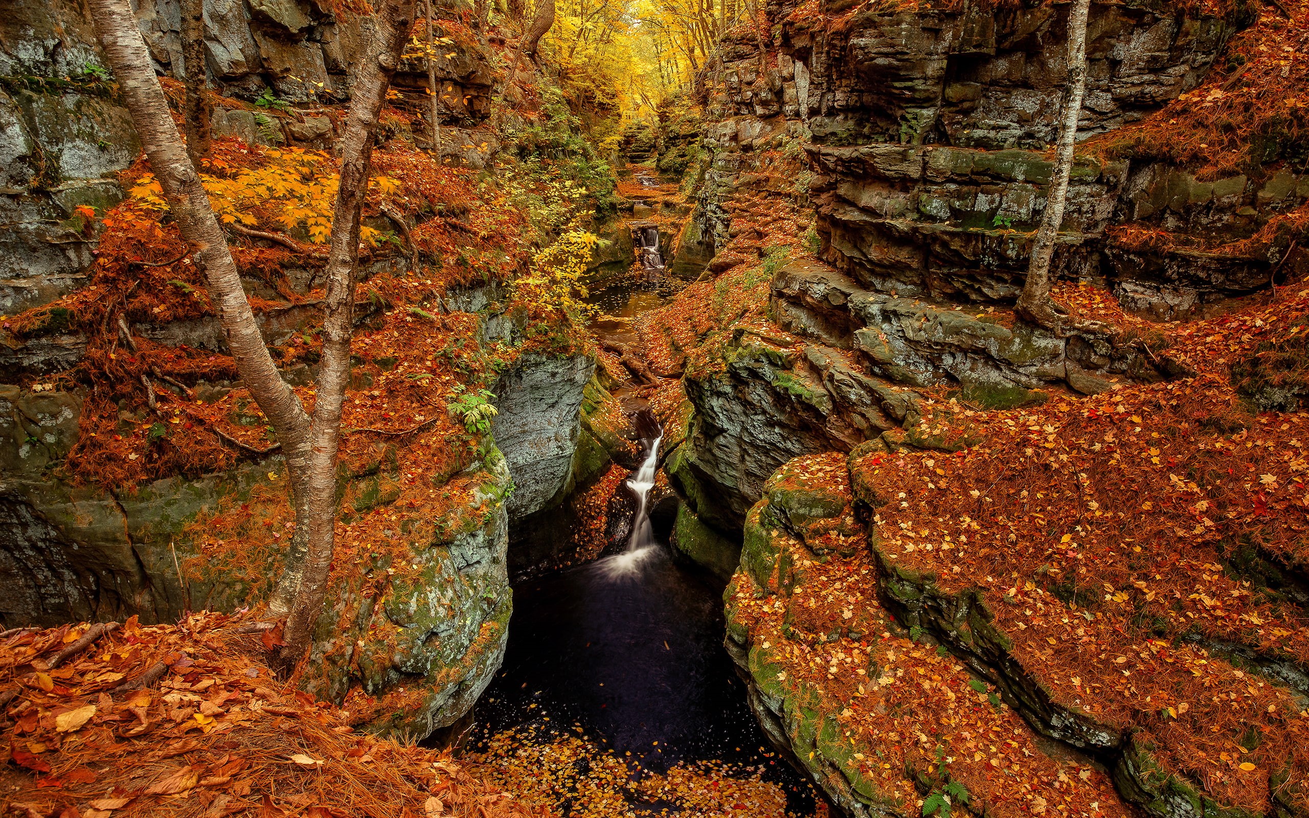 stone, rock, mountains, trees, autumn, forest, 2K, hd, leaves, waterfall, nature, stream, HD Wallpaper