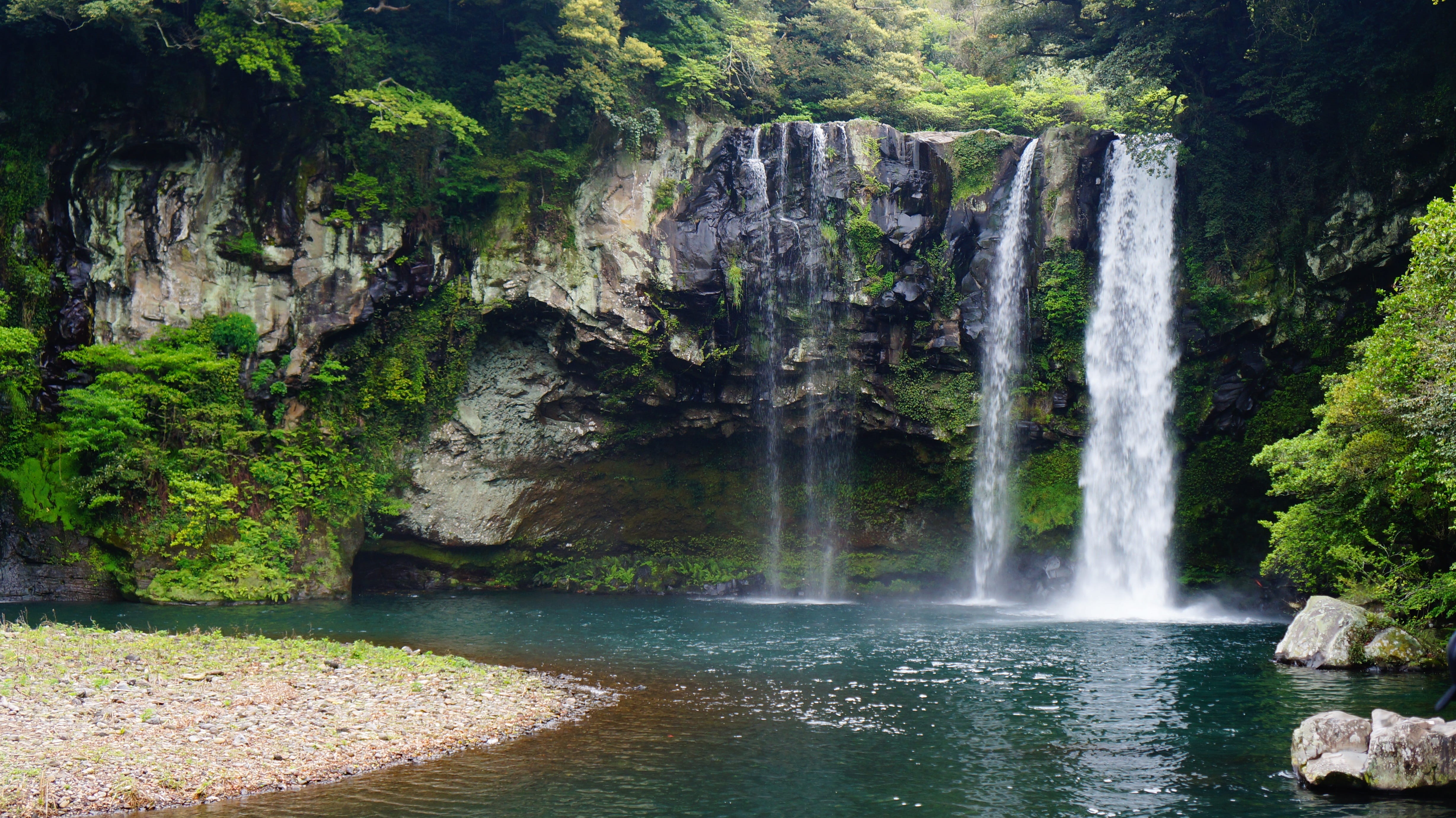 rainforest, rock - Object, scenics - nature, cheonjeyeon, river, flowing Water, Cheonjiyeon Waterfall, green Color, cheonjiyeon, outdoors, nature, tree, HD Wallpaper