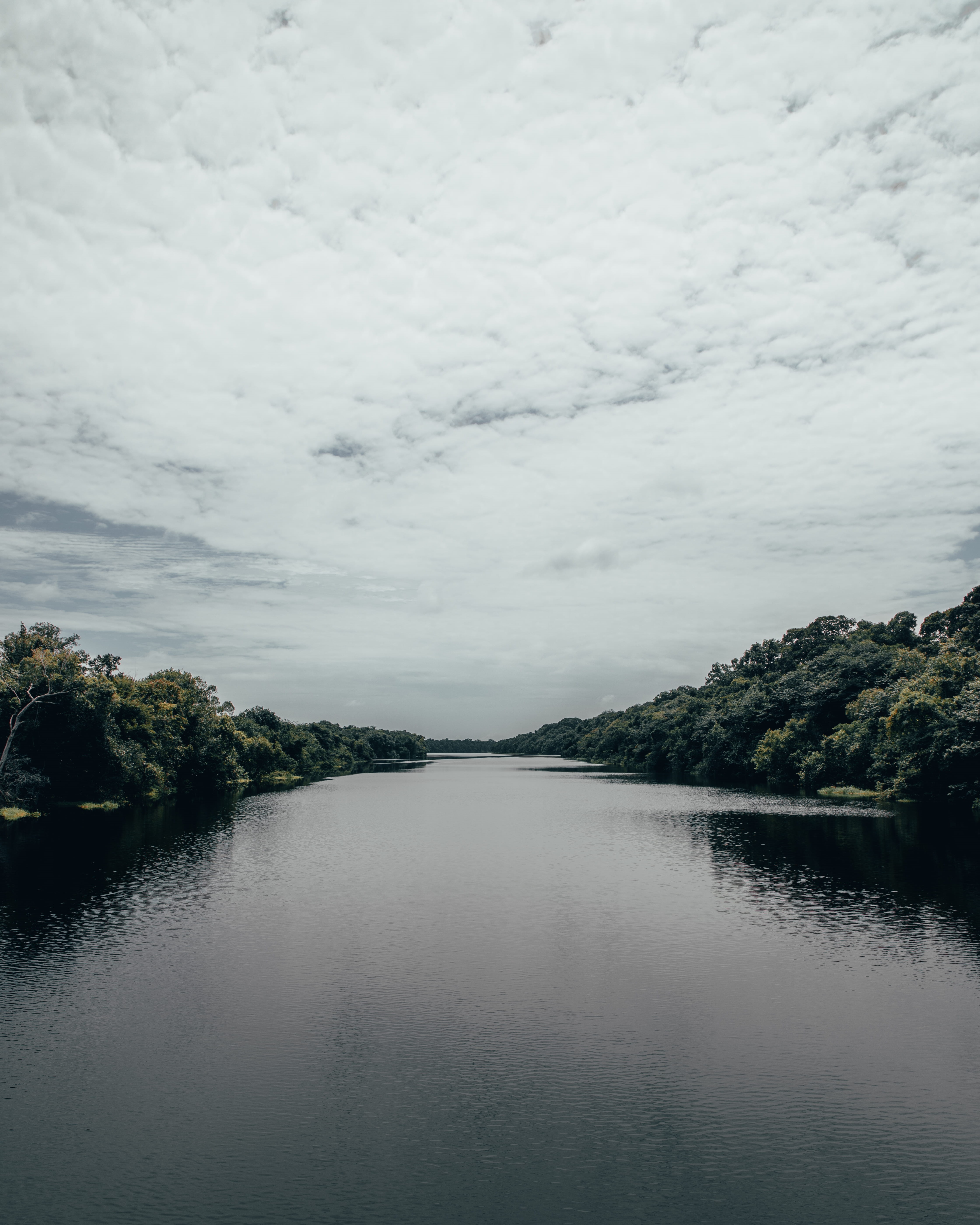 waterfront, forest, river, tranquil scene, horizon, tree, amazon, amazonas, no people, day, outdoors, cloud - sky, scenics - nature, nature, water, lake, Phone HD Wallpaper