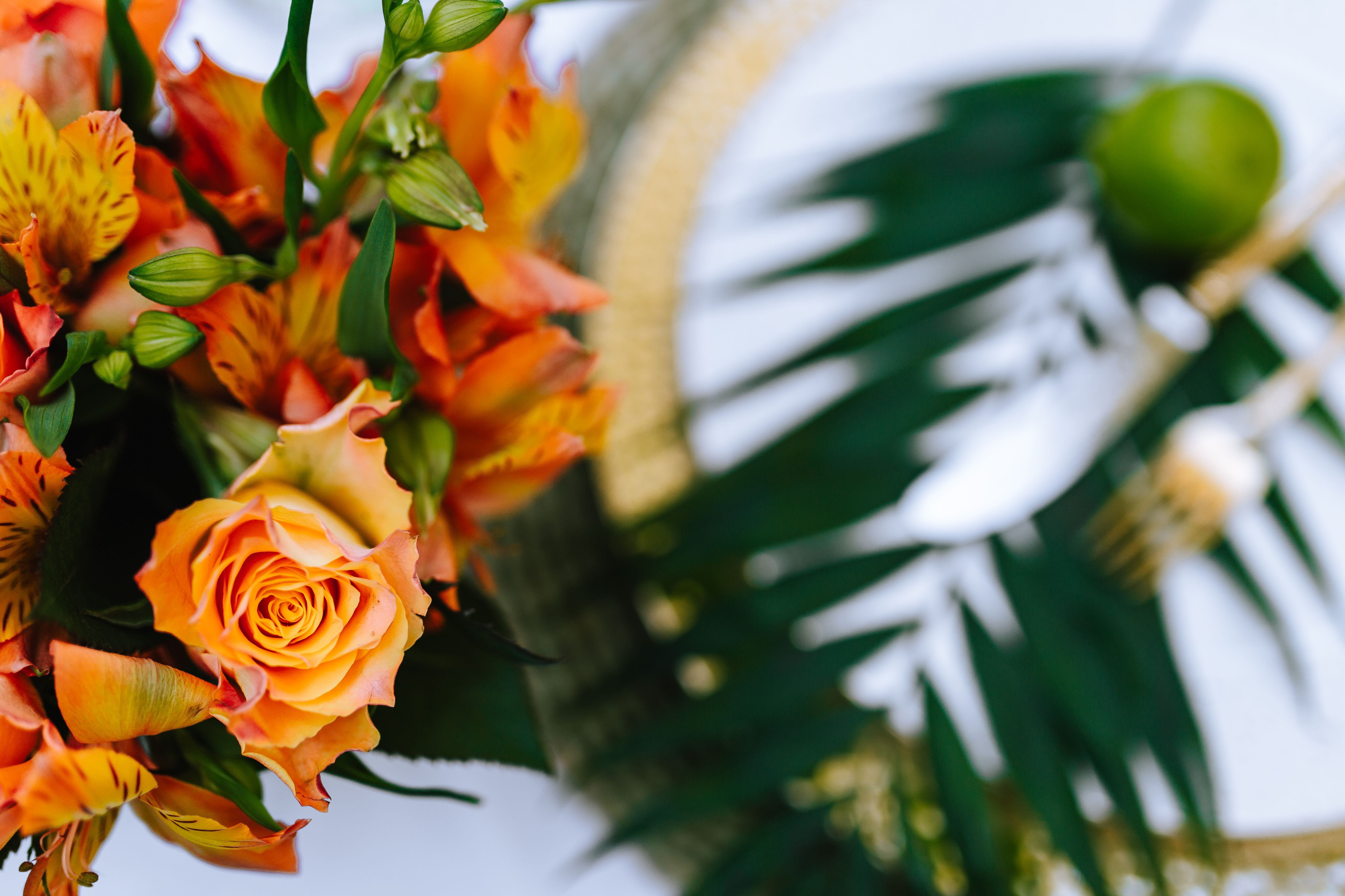 petal, multicolor, leaves, plant, beauty in nature, red, celebration, tropical, day, flora, leaf, flower arrangement, vulnerability, bouquet, Colorful, HD Wallpaper