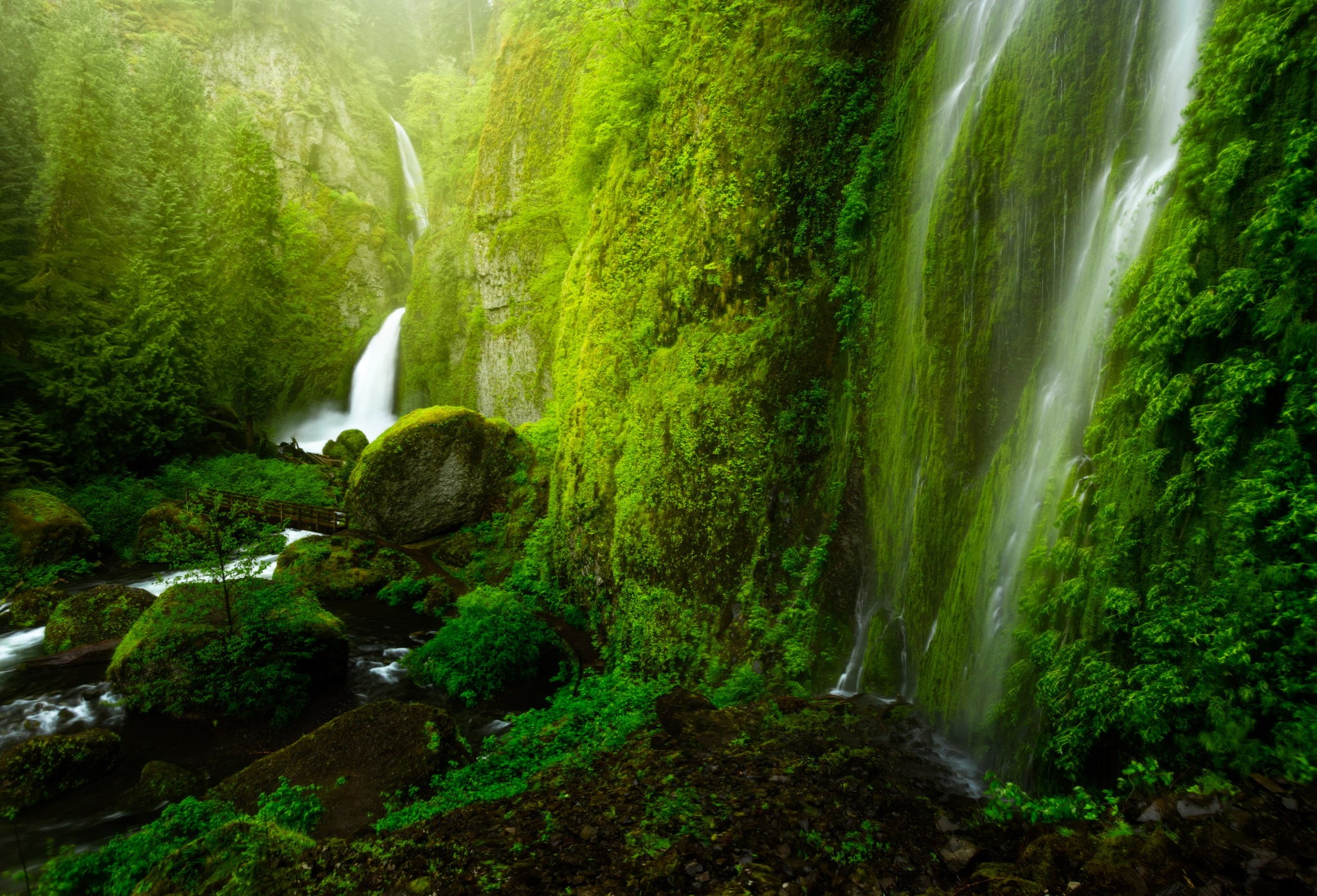 forest, landscape, stream, waterfall, rock - Object, tree, raging, 1080P, river, falls, moss, mountains, nature, scenics, water, beauty In Nature, freshness, HD Wallpaper