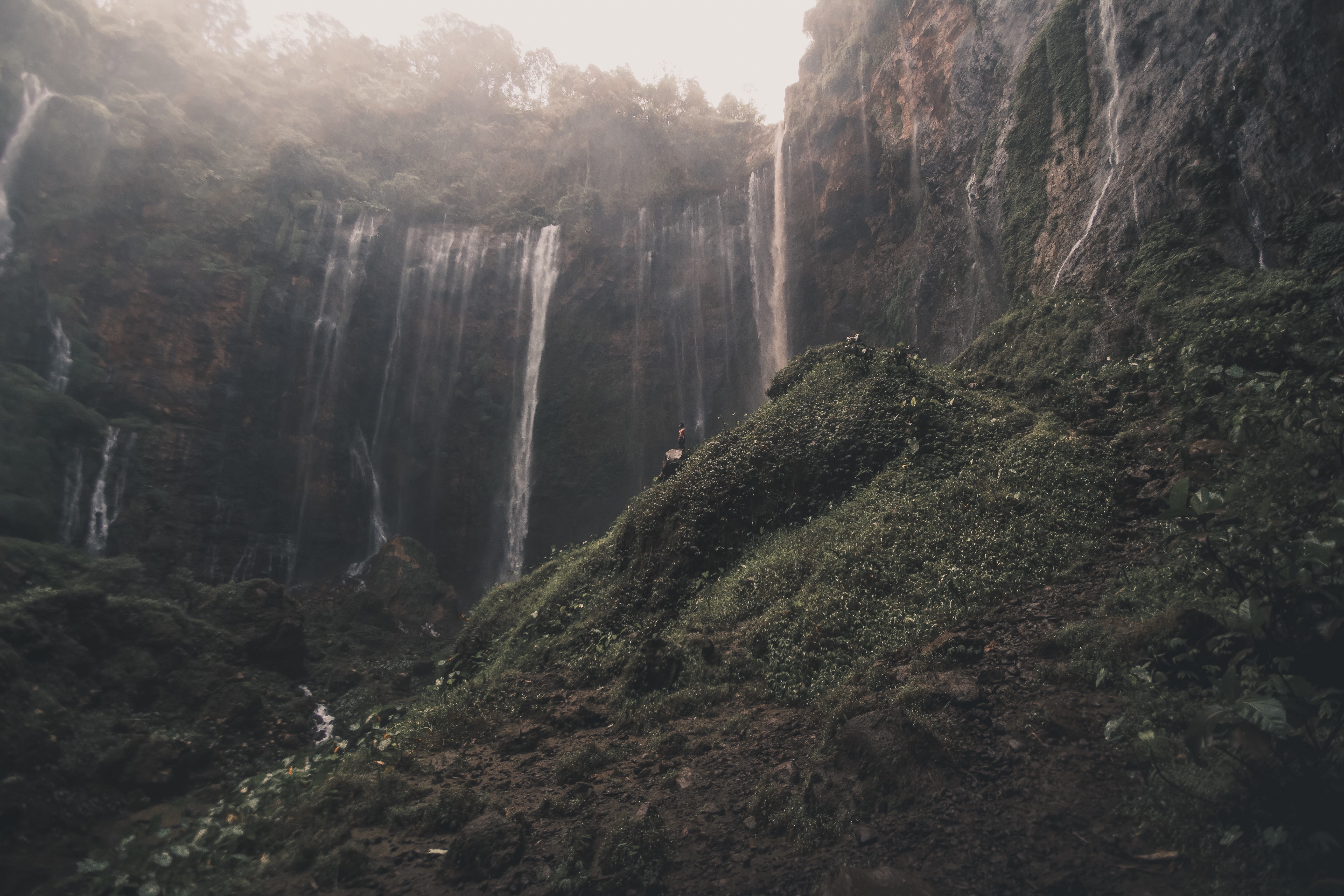 rock, lush foliage, lumajang, tranquility, 5K, plant, nature, growth, cliff, bird, travel, day, water, environment, animal, panoramic, fog, no people, HD Wallpaper