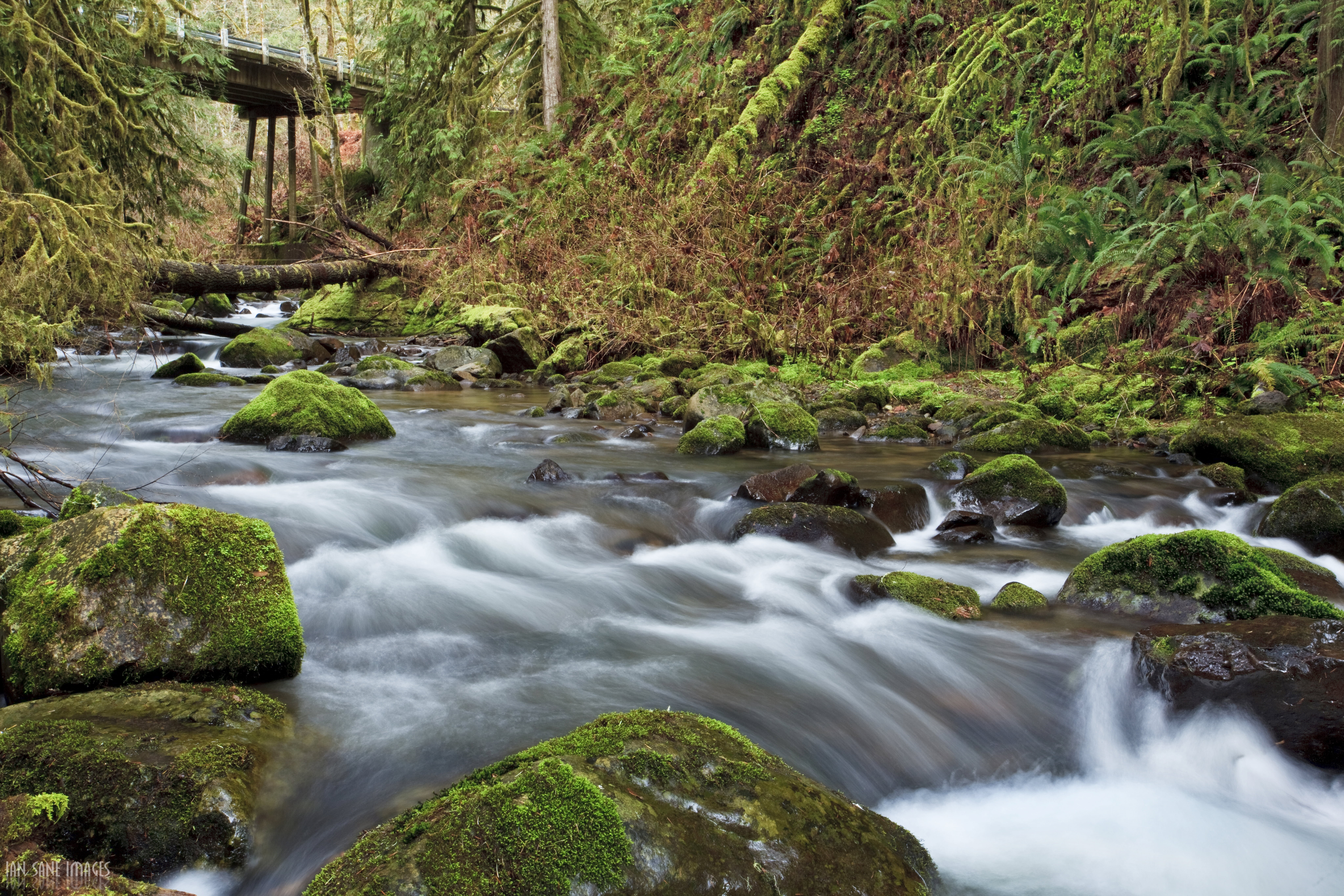 Long  Exposure, photo, 4L, Camera, scenics, Bridge, freshness, timelapse, stream, USM, waterfall, Lebanon  Oregon, Landscape  Photography, Images, landscape, HD Wallpaper