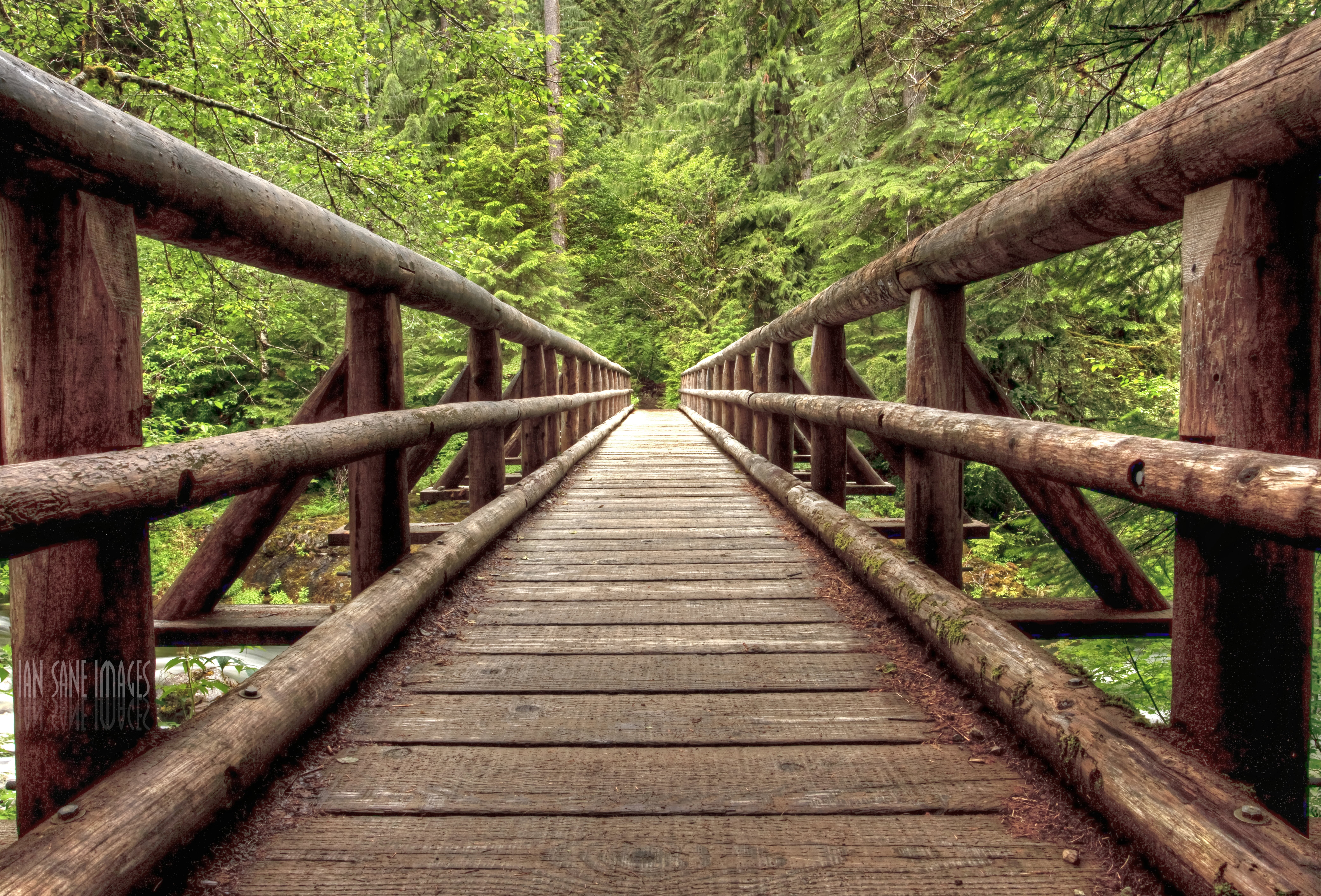 Images, Trail, green Color, USM, tree, Hiking, bridge - Man Made Structure, boardwalk, Forest, landscape, Opal Creek Wilderness, footpath, 8K, Lens, 4L, HD Wallpaper