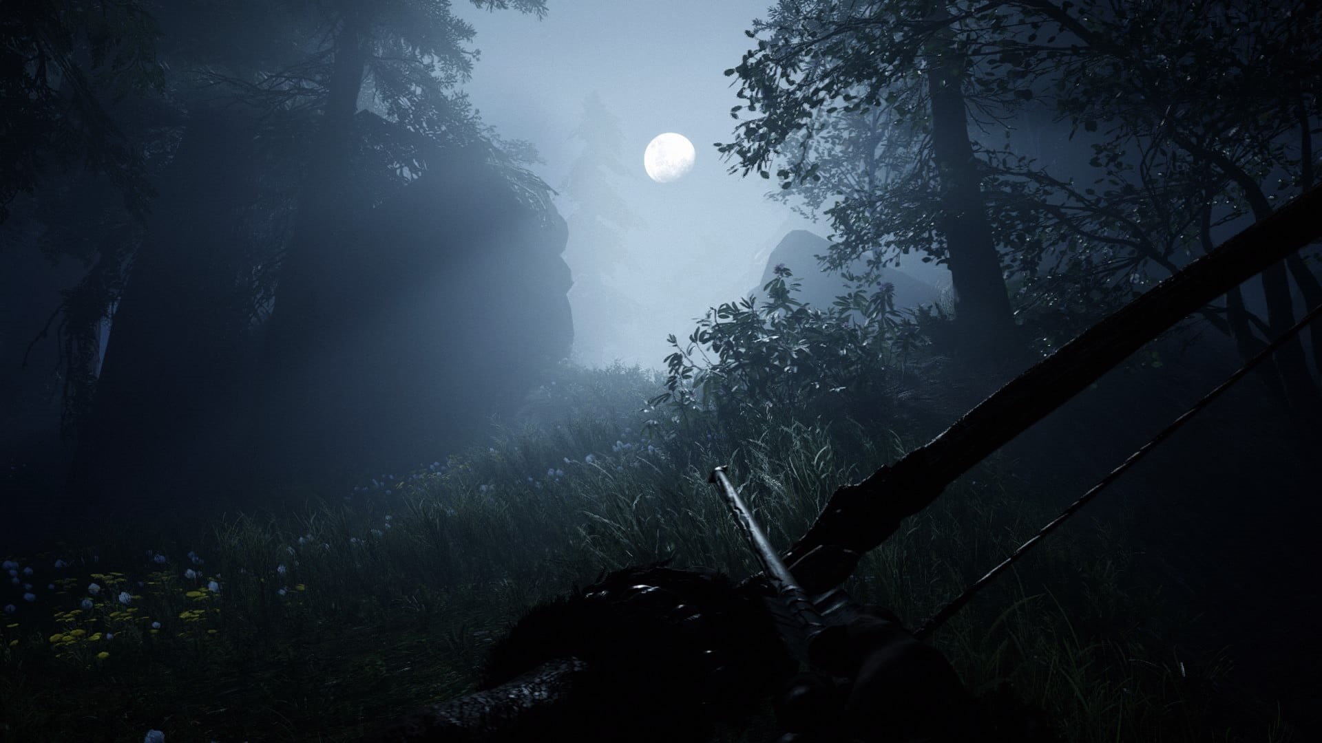 nature, moon, 1080P, sky, forest, plant, tranquility, mountain, fog, moonlight, tranquil scene, beauty in nature, PlayStation 4, flowing water, far cry primal, HD Wallpaper