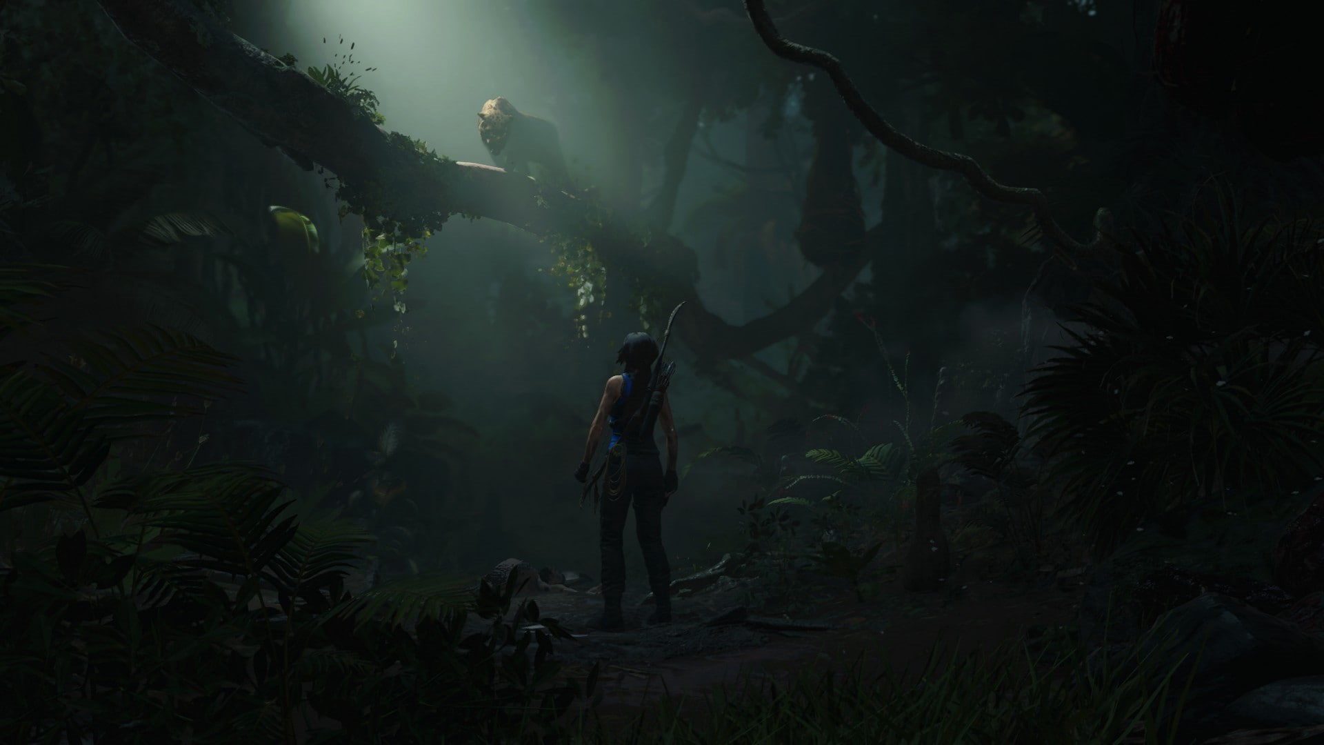 tranquility, 1080P, one person, PC gaming, outdoors, beauty in nature, woodland, green color, land, Shadow of the Tomb Raider, growth, tree, standing, HD Wallpaper