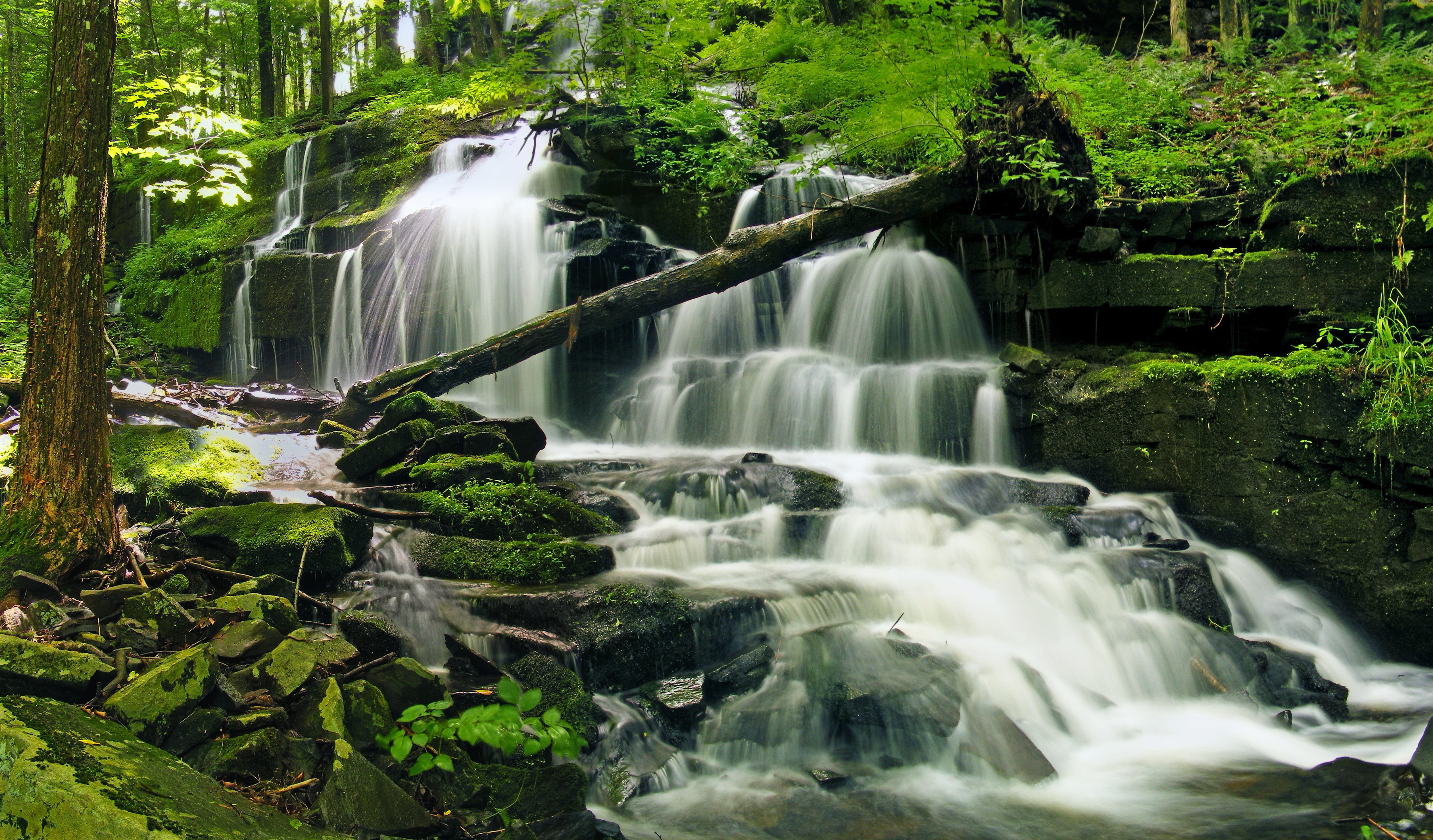 outdoors, nature, waterfall, tree, Falls, Poconos, Pennsylvania, body, 4K, forest, landscape, body of water, Stairway, tropical Rainforest, freshness, HD Wallpaper