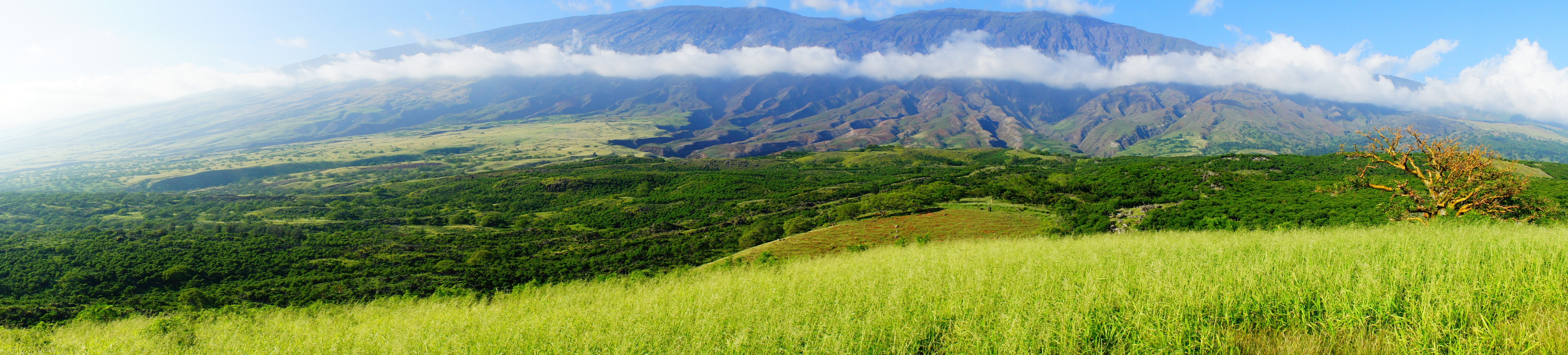 outdoors, Hawaii, tranquility, volcano, grass, tropical forest, mountain peak, nature, environment, 8K, beauty in nature, sky, land, landscape, tranquil scene, HD Wallpaper