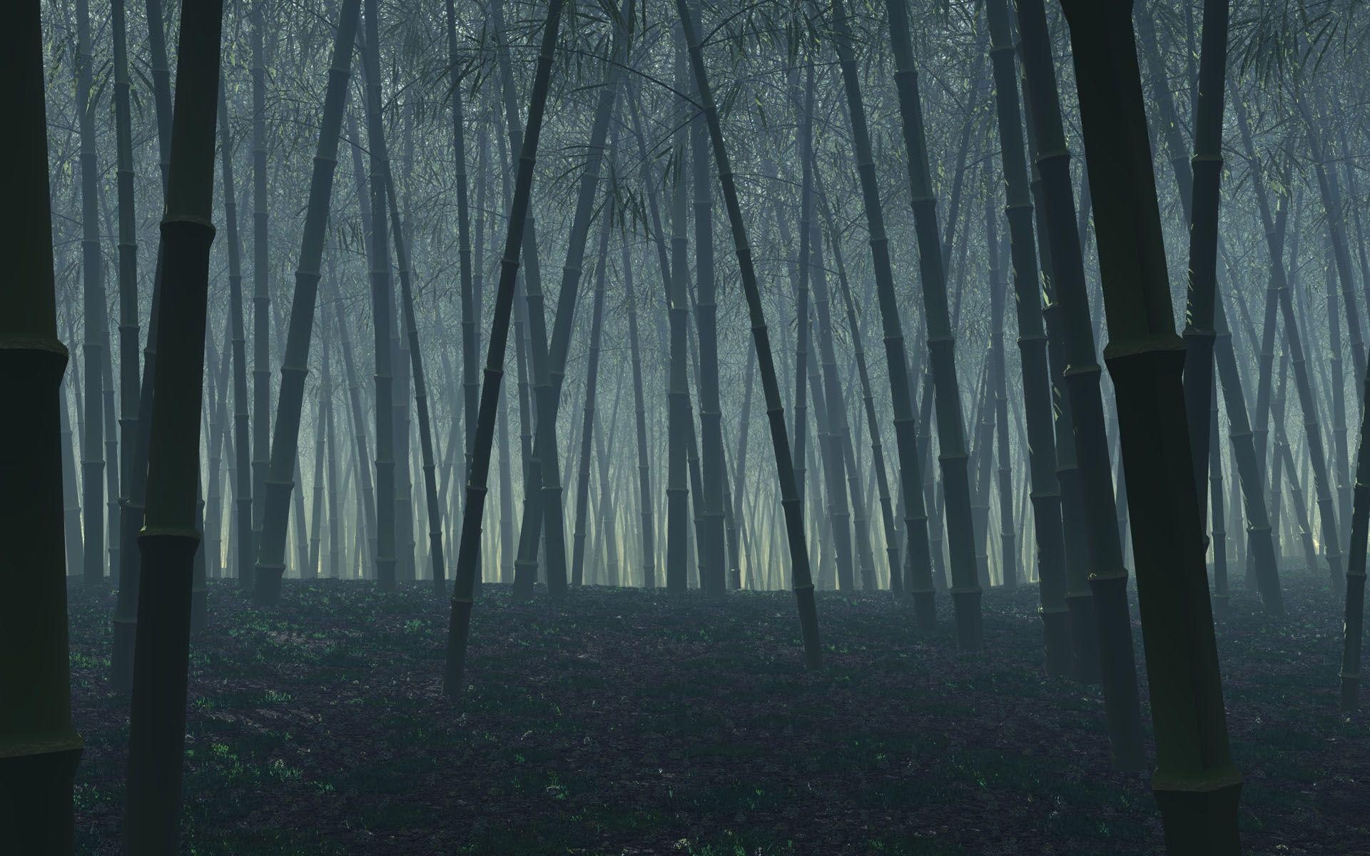 1080P, trees, dark, forest, bamboo, black, 1920x1200, nature, HD Wallpaper