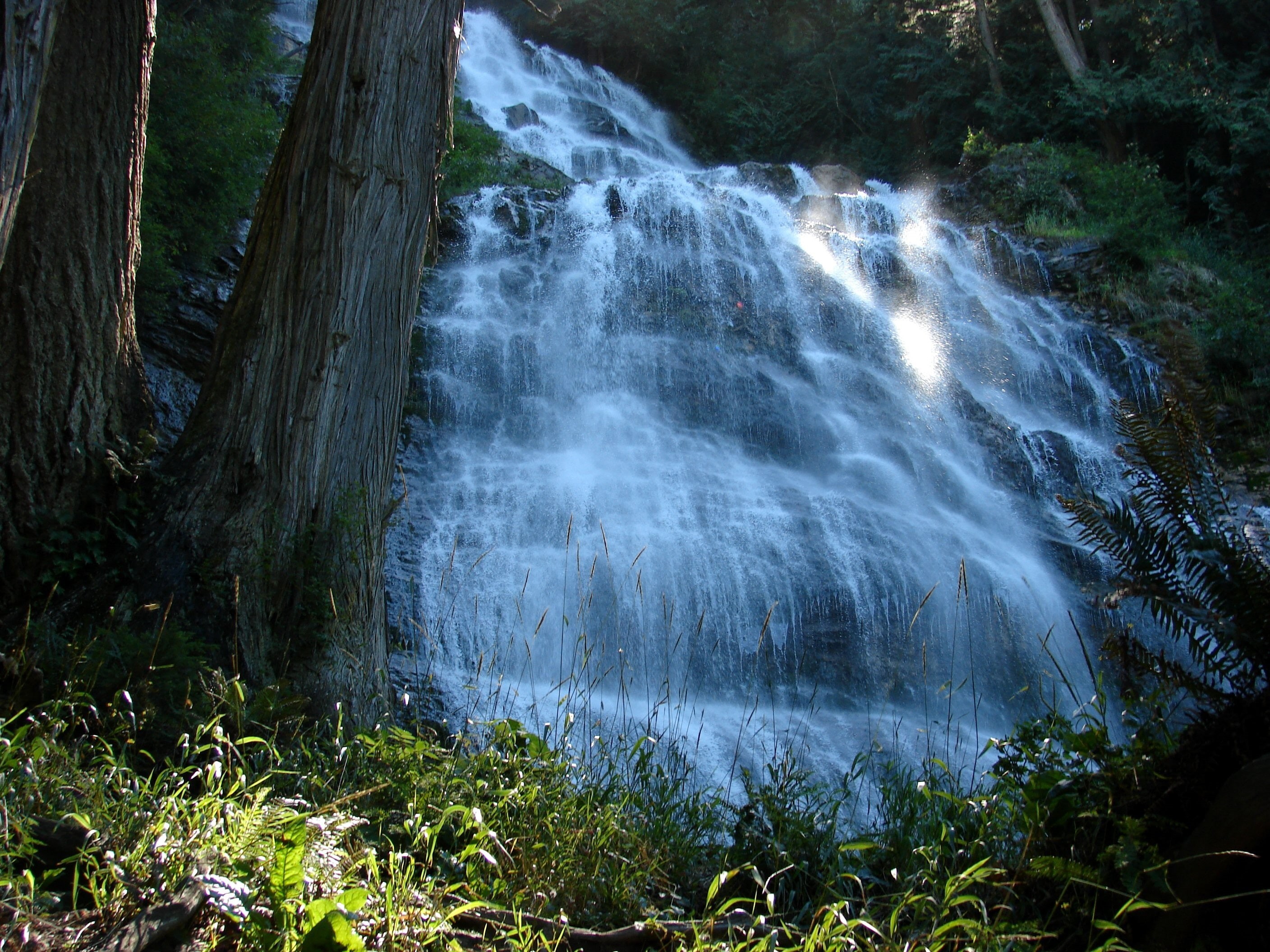 nature, landscape, 2K, trees, waterfall, forest, sunlight, plants, HD Wallpaper