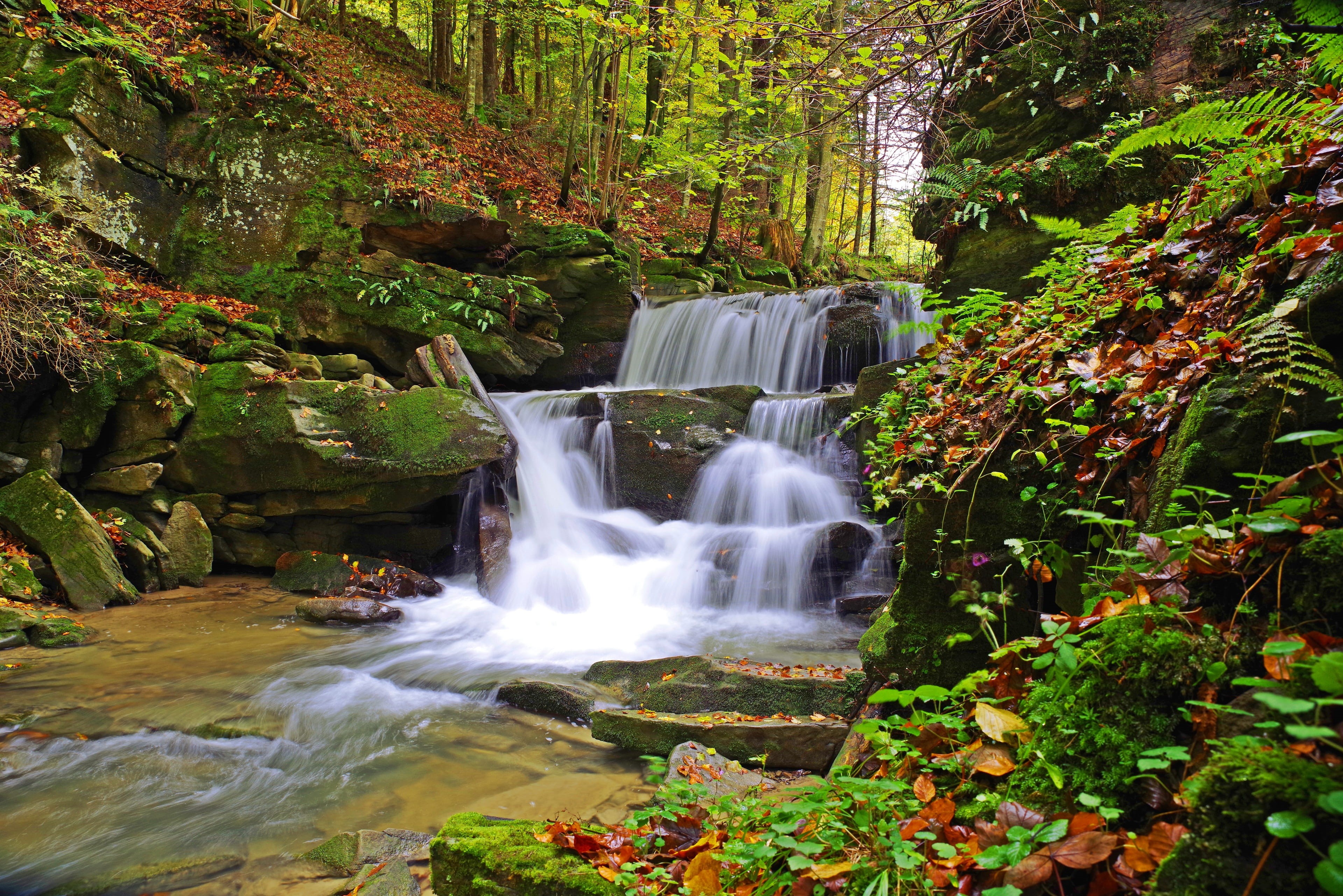 torrent, nature, brook, 4K, rock - object, water, tree, moss, land, flowing water, mosses, outdoors, power in nature, long exposure, mountain, forest, HD Wallpaper