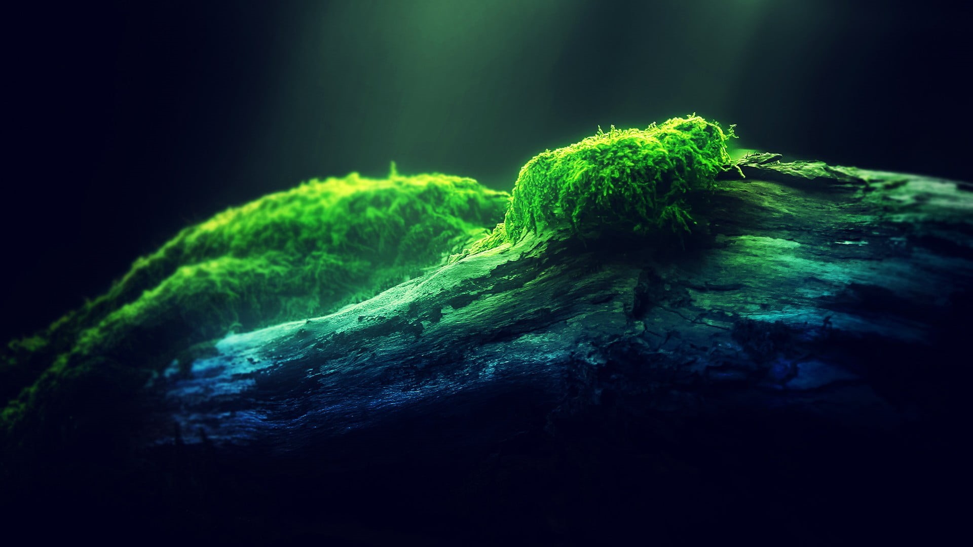 turquoise colored, textile, environment, full frame, still life, sea, abstract, dark, nature, indoors, selective focus, black background, studio shot, trunk, HD Wallpaper