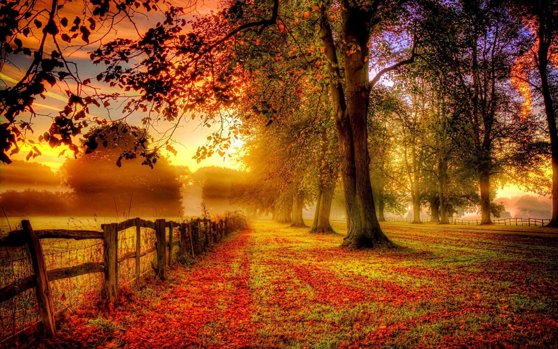 Red, Park, Fence, Leaves, 1080P, Scenery, Autumn, Road, HD Wallpaper