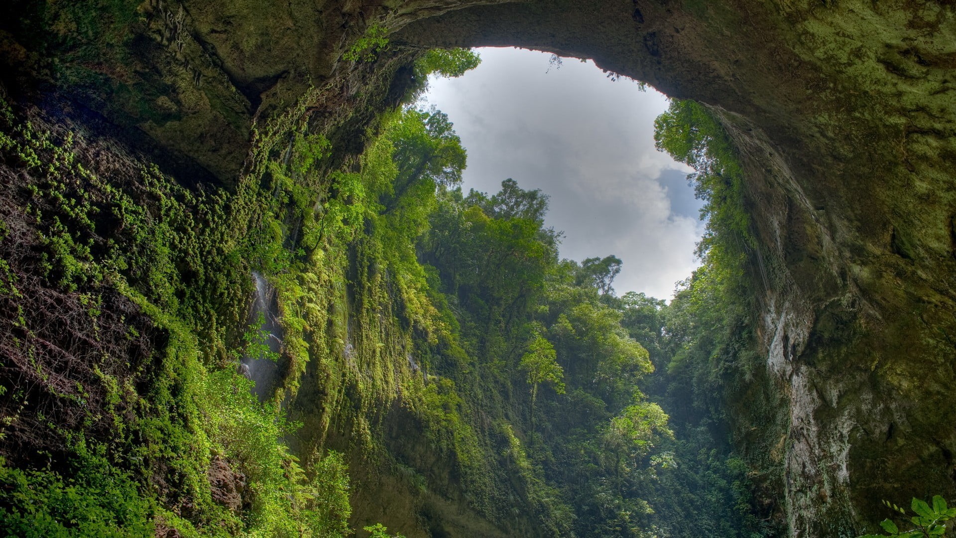 day, nature, tree, environment, non-urban scene, green color, water, trees, land, cave, outdoors, growth, forest, 1080P, plant, tranquility, landscape, HD Wallpaper