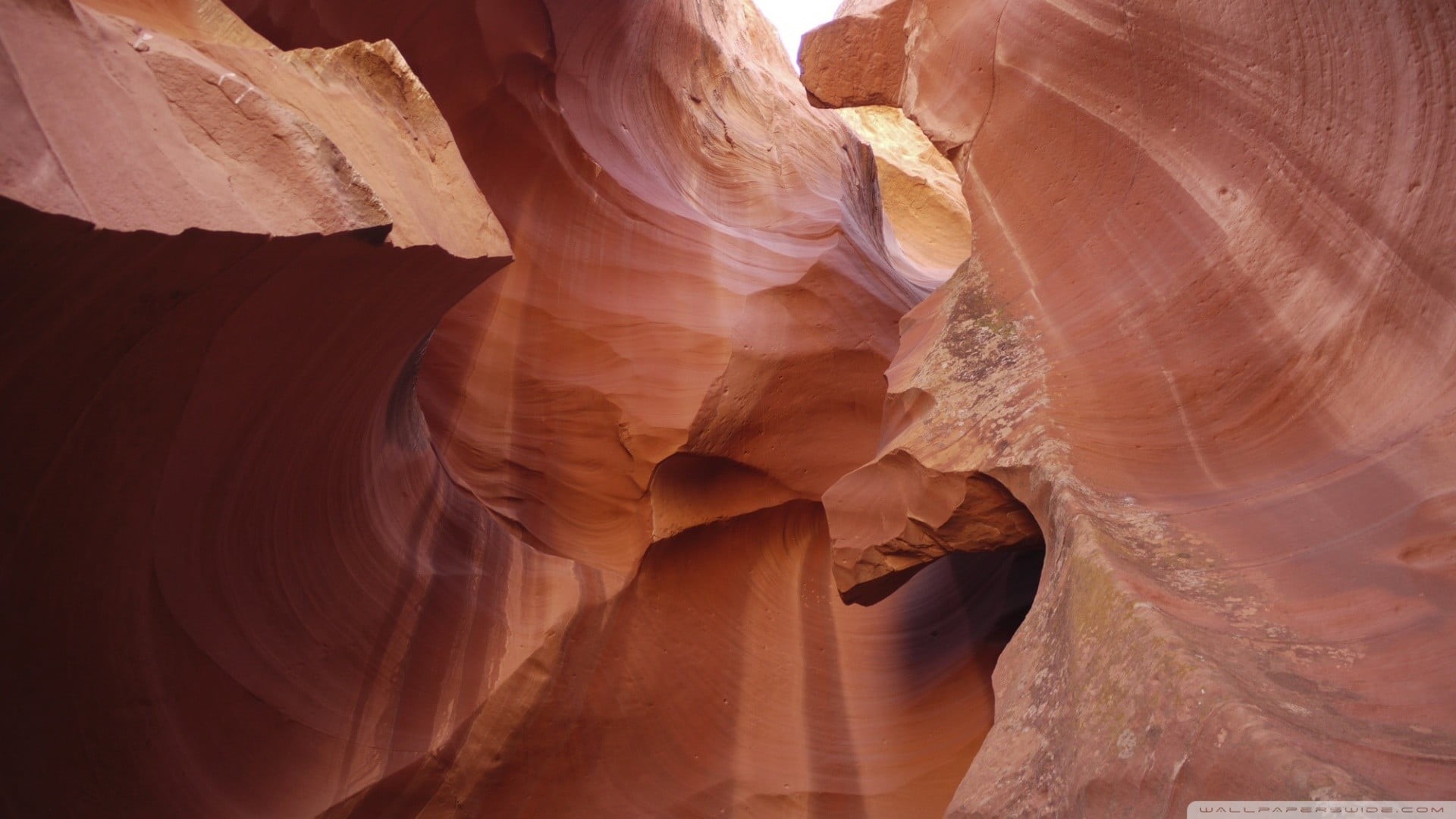 1080P, travel destinations, formation, natural pattern, brown, canyon, sandstone, physical geography, no people, day, climate, geology, floral, beauty in nature, HD Wallpaper