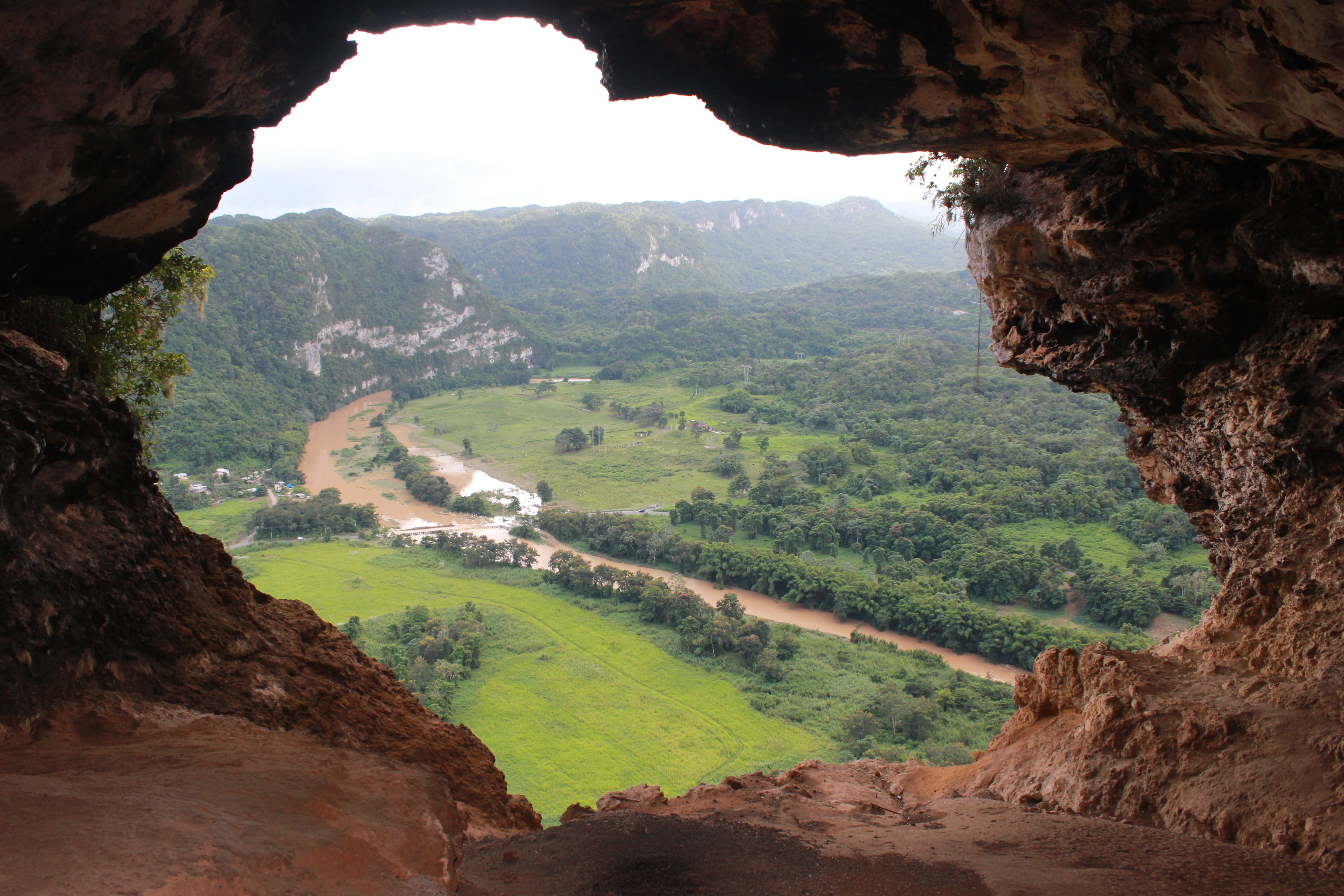 arecibo, plant, tranquility, puerto rico, solid, cueva, non-urban scene, outdoors, outdoor, valley, environment, nature, beauty in nature, rock - object, HD Wallpaper