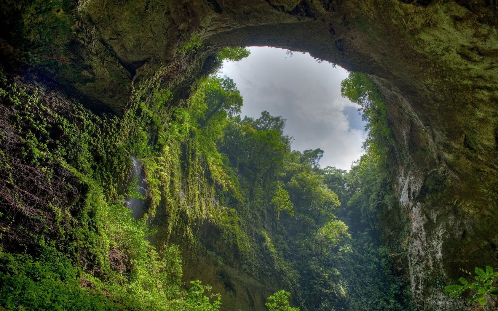 arch, 720P, nature, Puerto Rico, trees, cave, rocks, HD Wallpaper