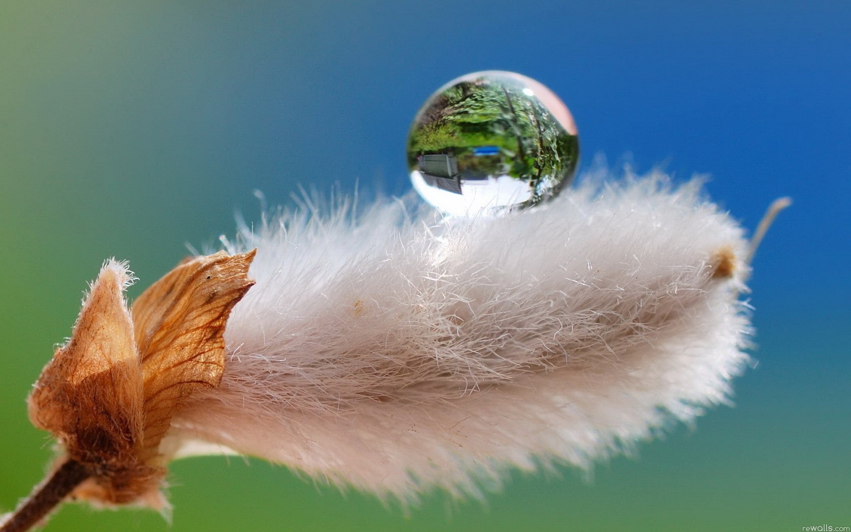 720P, drop, water, white, rain, flow, macro, hd, nature, HD Wallpaper
