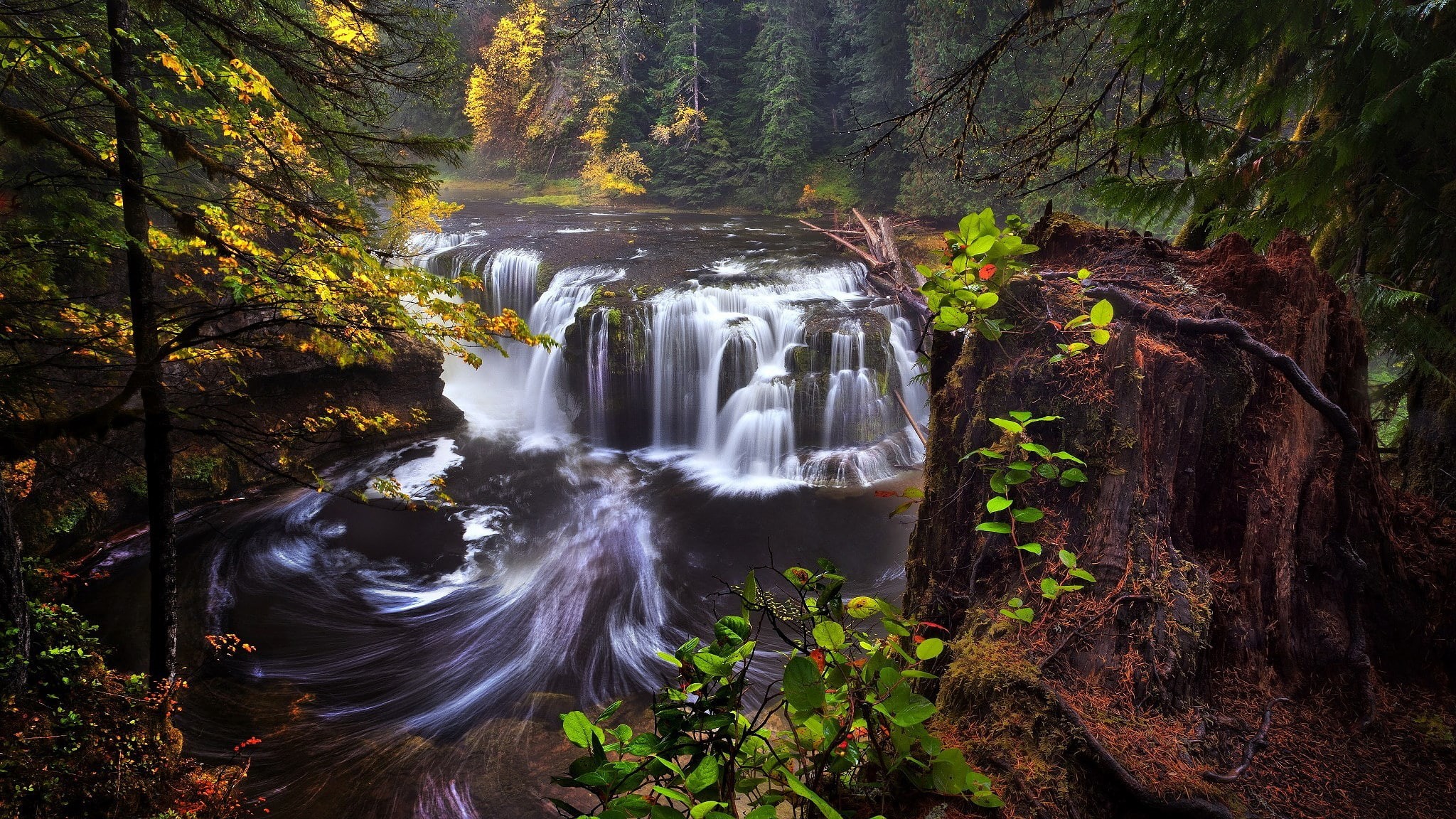 rainforest, forest, tree, no people, long exposure, day, solid, scenics - nature, rock formation, flowing, 1080P, blurred motion, beauty in nature, power in nature, HD Wallpaper