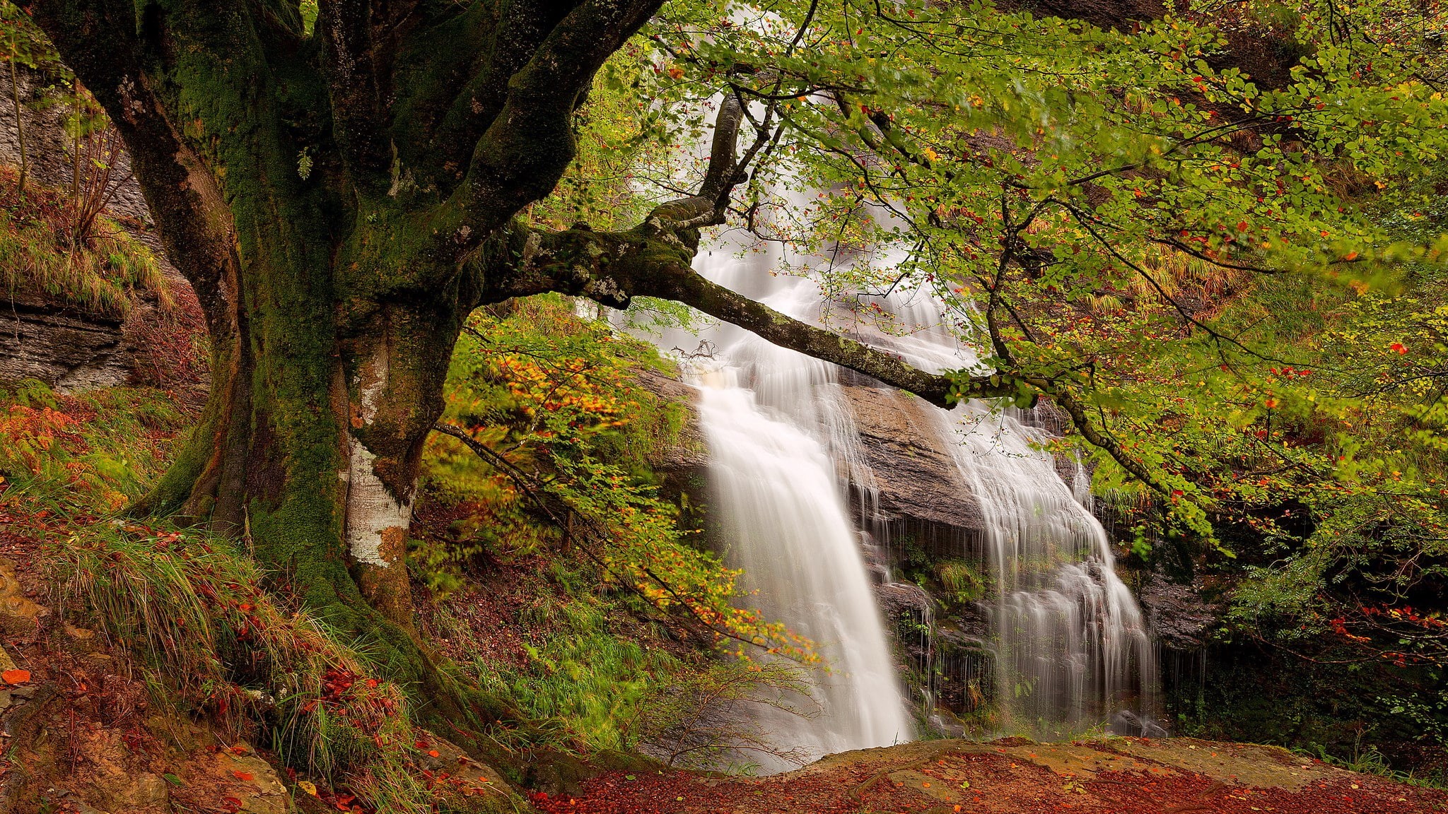 flowing, growth, motion, environment, change, woodland, beauty in nature, power in nature, scenics - nature, waterfall, rainforest, nature, pc  nature beauty 2048x1152, HD Wallpaper