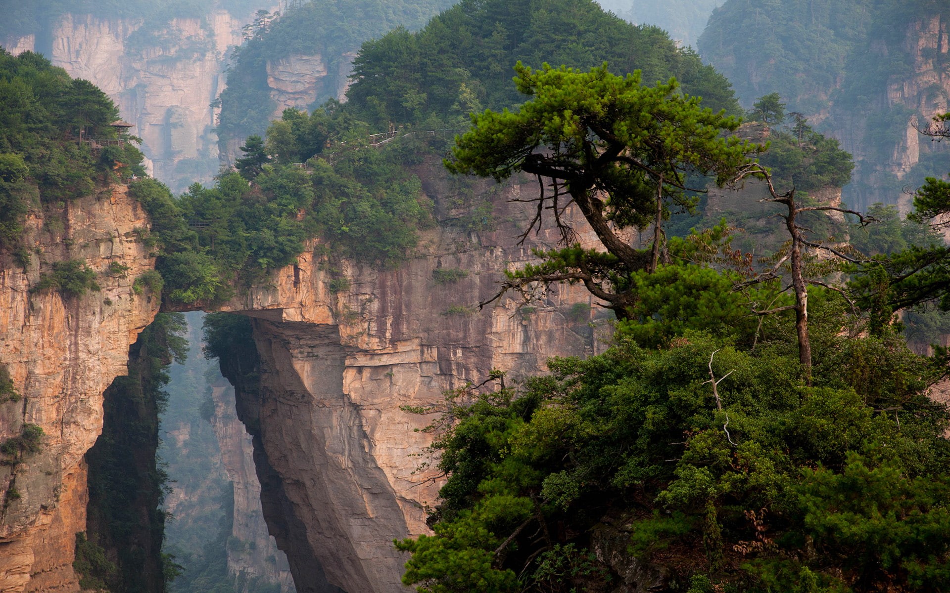 National Park, Mountain, Zhangjiajie National Park, 1080P, Tree, Landscape, Rock, Earth, China, HD Wallpaper