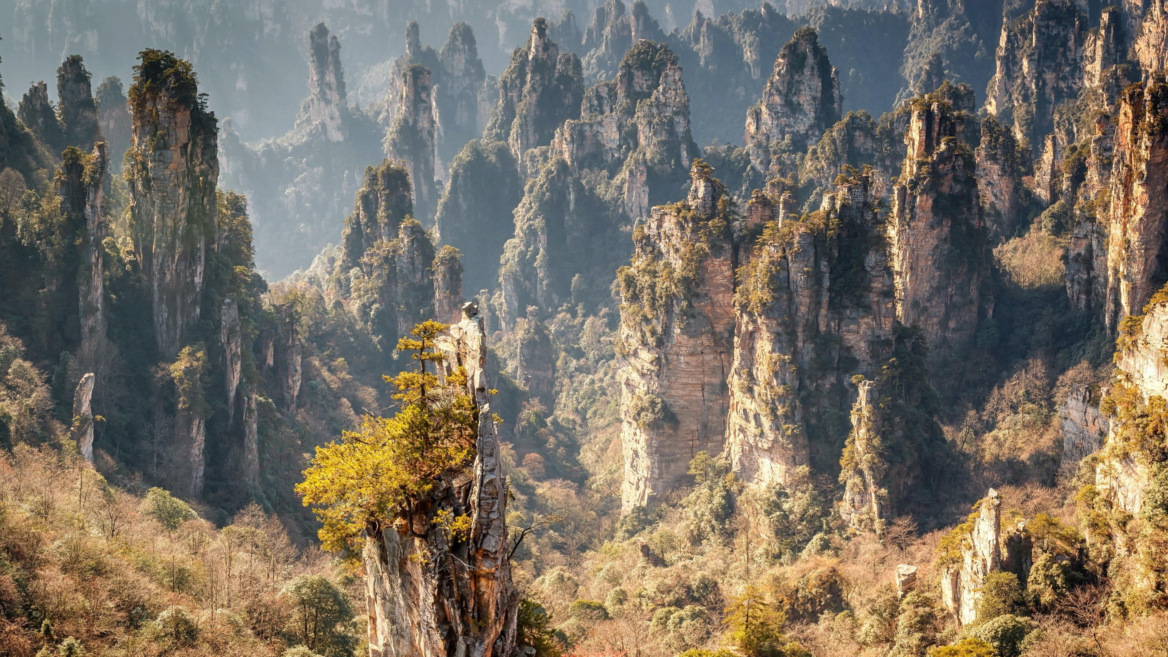 4K, asia, hallelujah mountain, avatar, china, forest, peaks, stone forest, hunan, zhangjiajie stone forest, mountain, zhangjiajie national forest park, HD Wallpaper