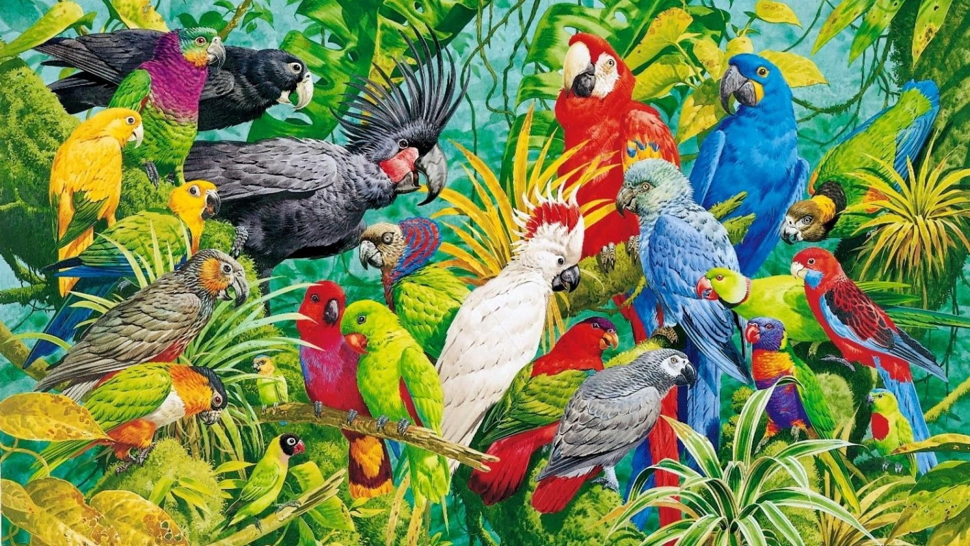 green color, day, rainbow lorikeet, no people, bird, art, painting, 1080P, parrots, vertebrate, animal themes, high angle view, outdoors, animals in the wild, HD Wallpaper