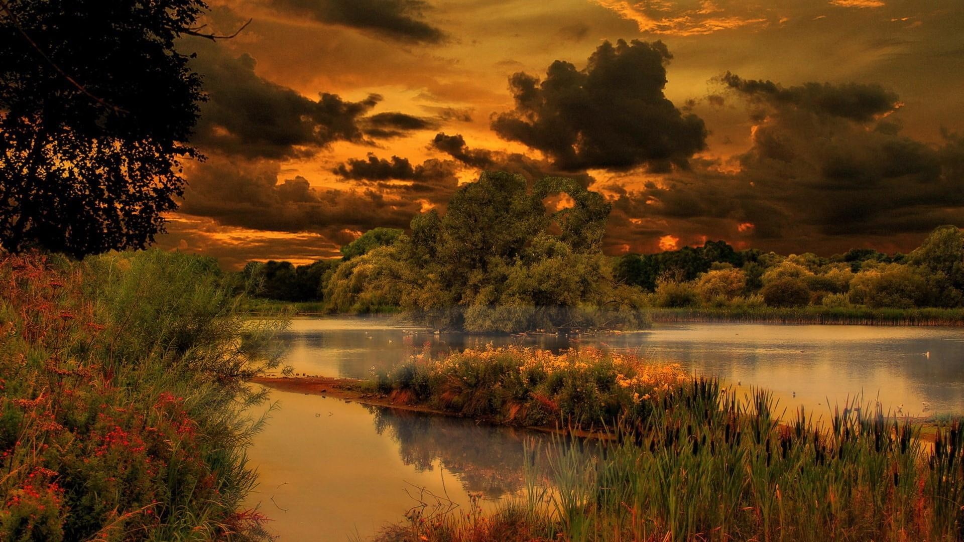 leaf, wilderness, evening, tree, wetland, water, bank, river, reflection, clouds, lake, sky, 1080P, nature, sunset, vegetation, HD Wallpaper