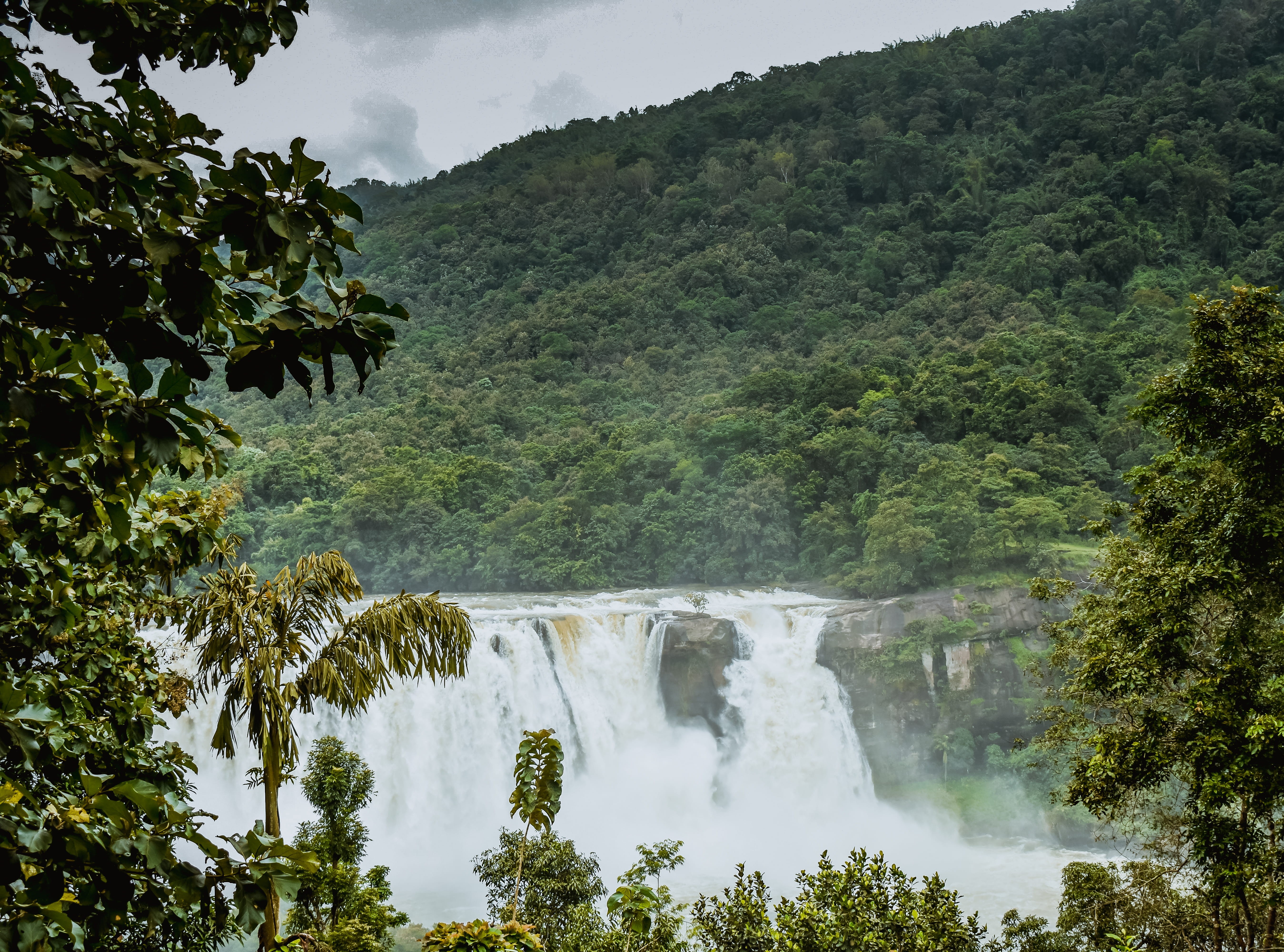 nature, flowing water, bush, tranquility, pariyaram, non-urban scene, power in nature, surrounded, outdoors, land, jungle, river, plants, scenics - nature, HD Wallpaper
