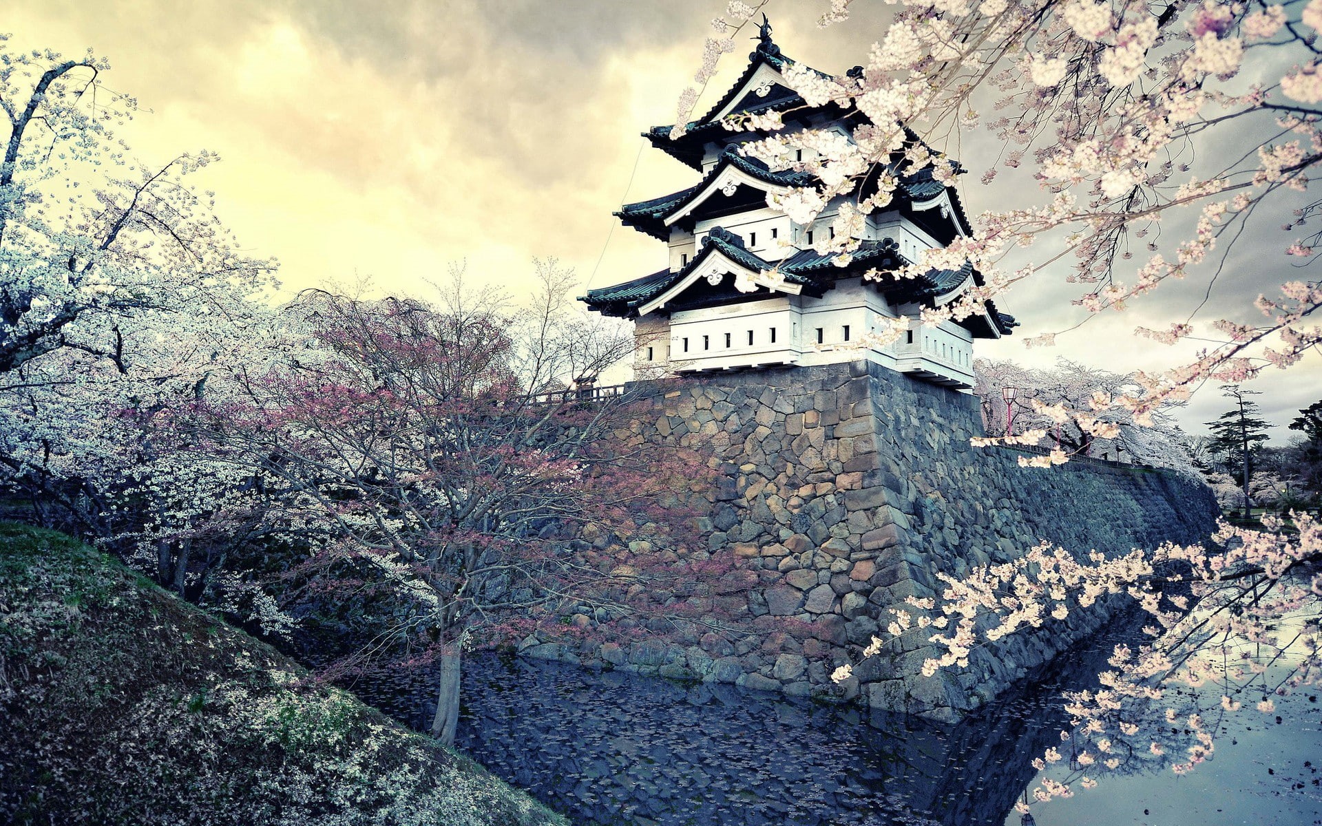 solid, belief, building, building exterior, history, built structure, Japan, day, cloud - sky, growth, the past, cherry, low angle view, sky, plant, tree, HD Wallpaper