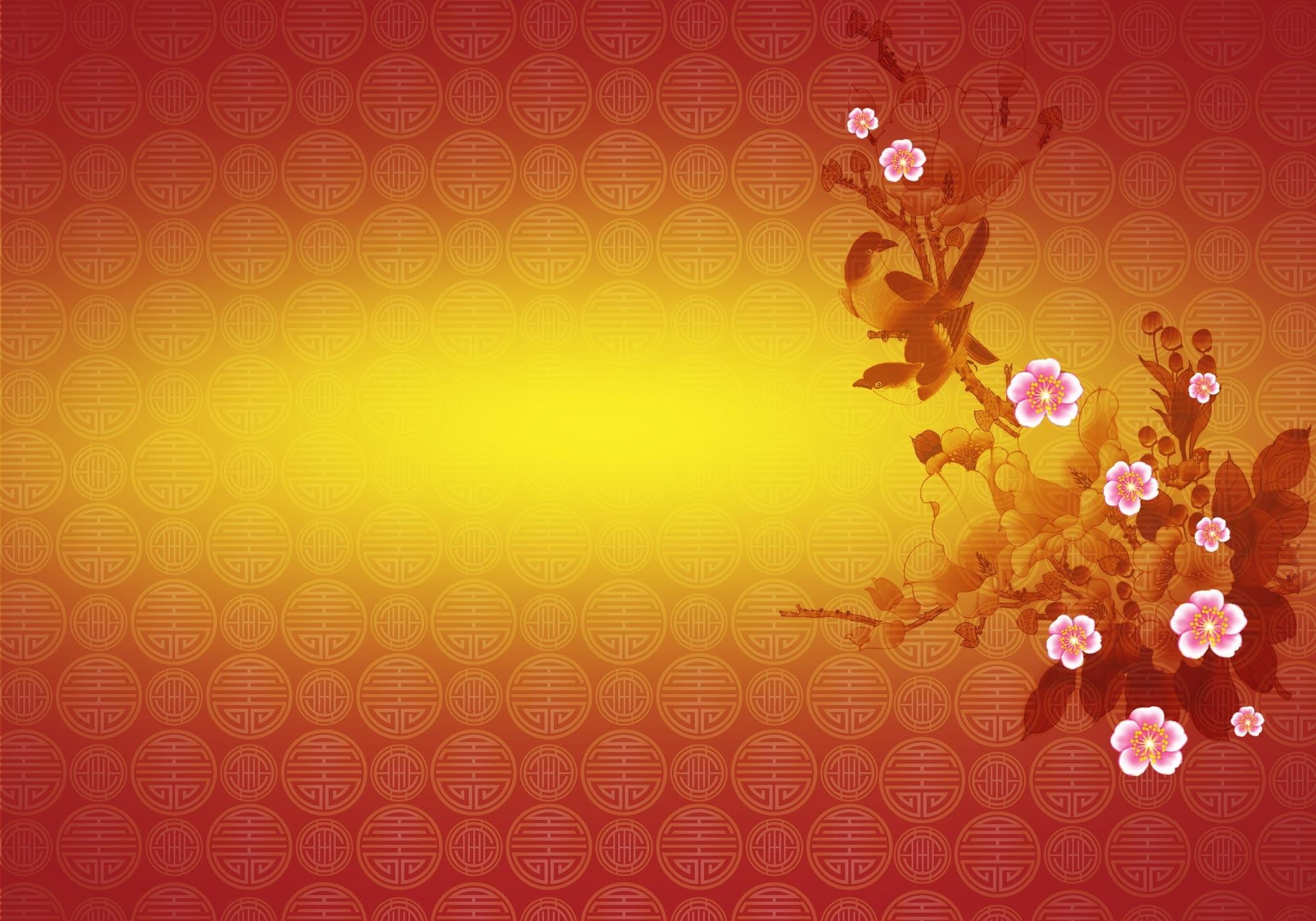 chinese, cherry, oriental, sakura blos, floral, flower, abstract, lovely, bird, year, new, cherry blossom, 1080P, blossom, HD Wallpaper
