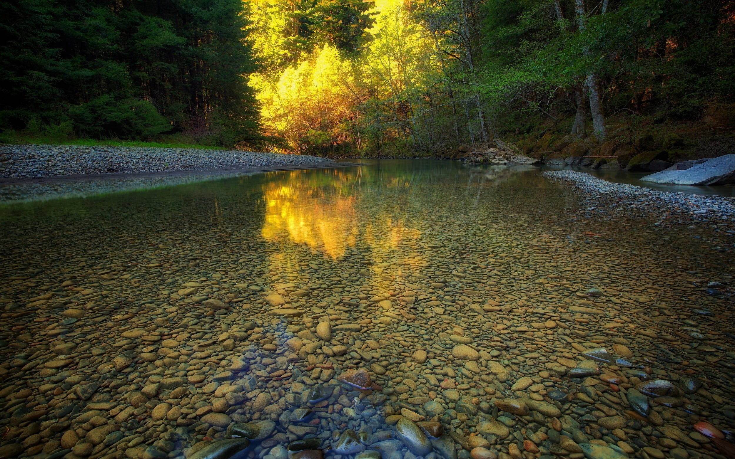tranquility, river, pebble, scenics - nature, tranquil scene, trees, shallow, change, idyllic, non-urban scene, 1080P, sunlight, surrounded, reflection, HD Wallpaper