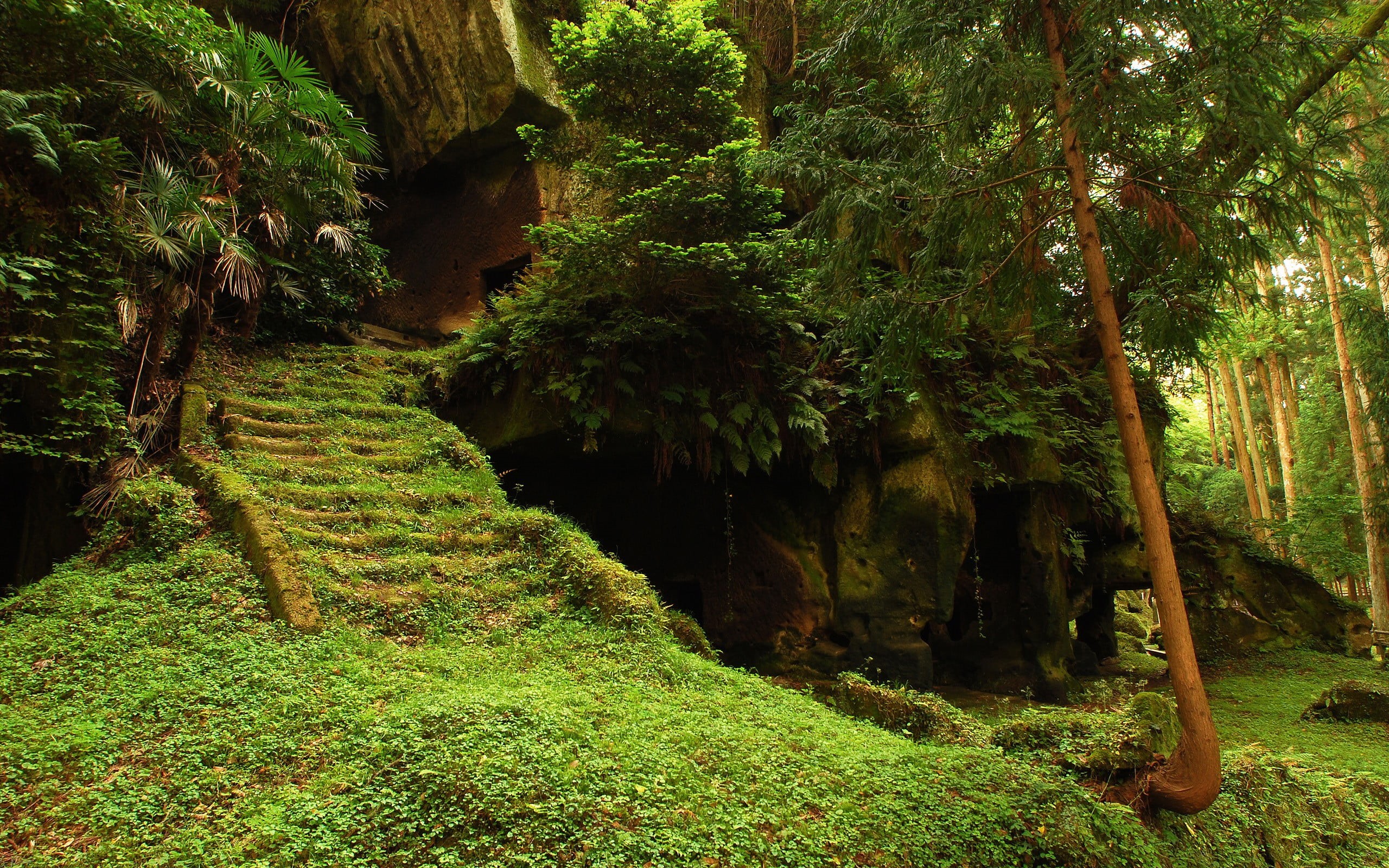 landscape, stone - Object, environment, land, footpath, tropical Rainforest, rural Scene, no People, trunk, tree, mountain, outdoors, bush, stairs, 2K, HD Wallpaper