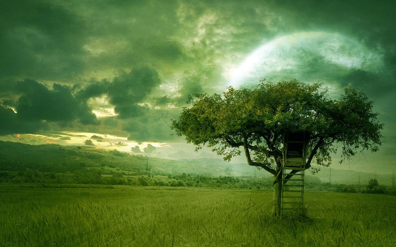 treehouses, 720P, HD Wallpaper