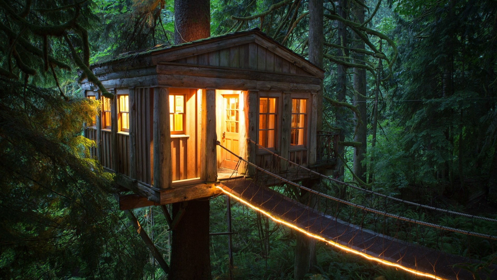 United States Unique hotels in the trees, 1080P, forest, Treehouse Point, house, HD Wallpaper