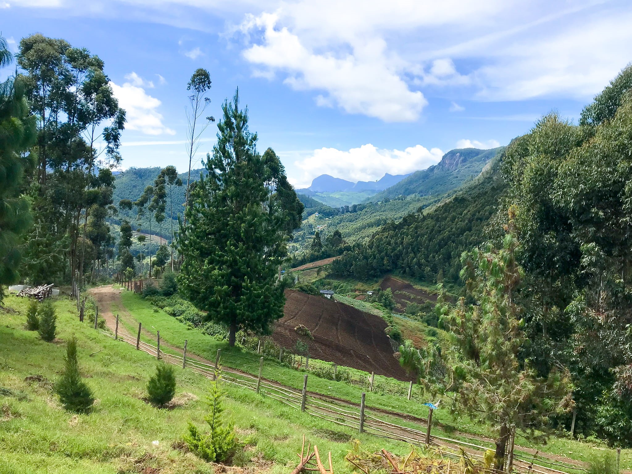 field, iphone, 1080P, green color, mountain, beauty in nature, tranquil scene, explore, tree, resort, india, valley, tranquility, scenics - nature, travel, HD Wallpaper