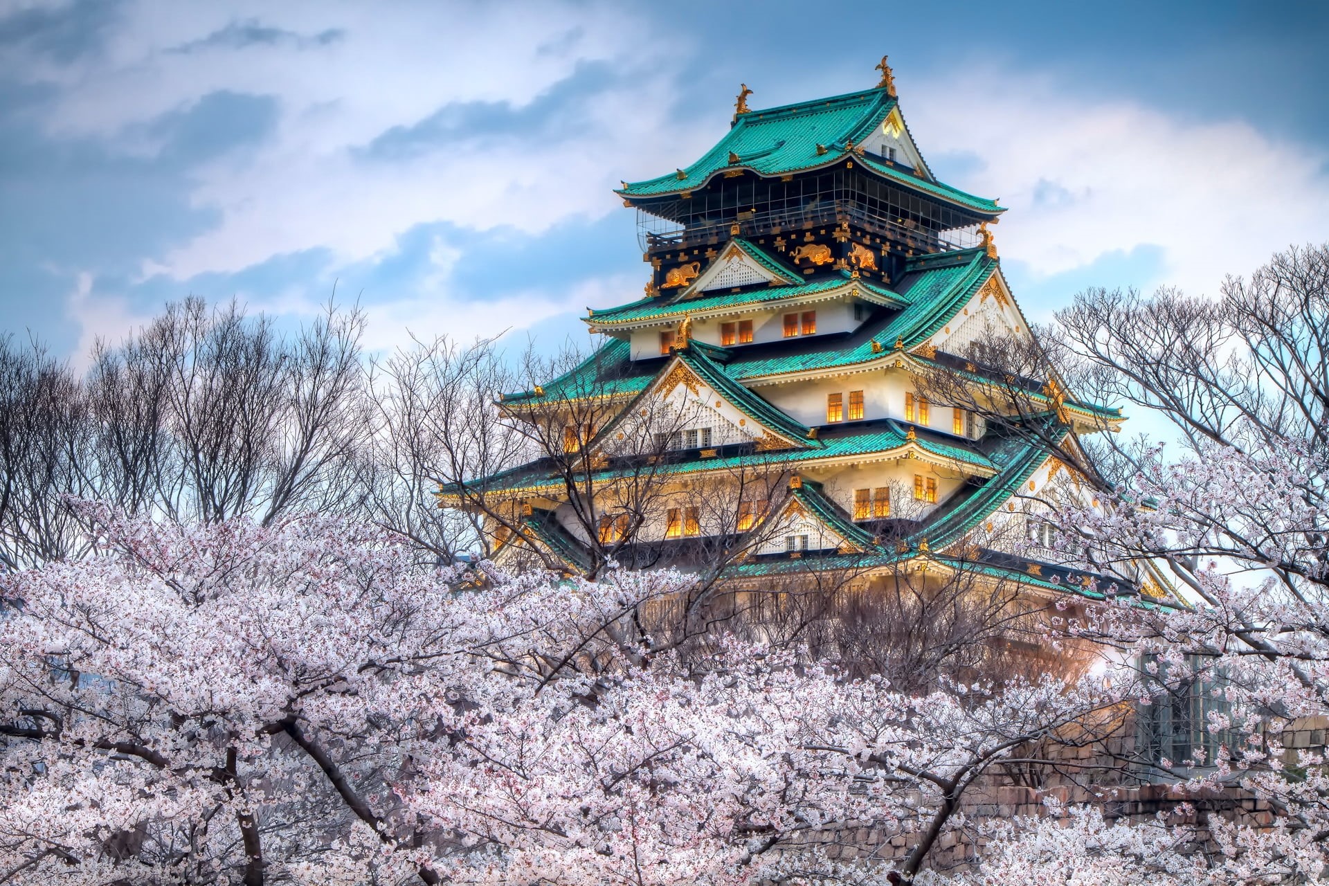 teal, low angle view, 1080P, branch, ancient, osaka Prefecture, cherry, plant, cloud - sky, ninja, spring, cultures, the Past, tower, history, snow, blue, HD Wallpaper